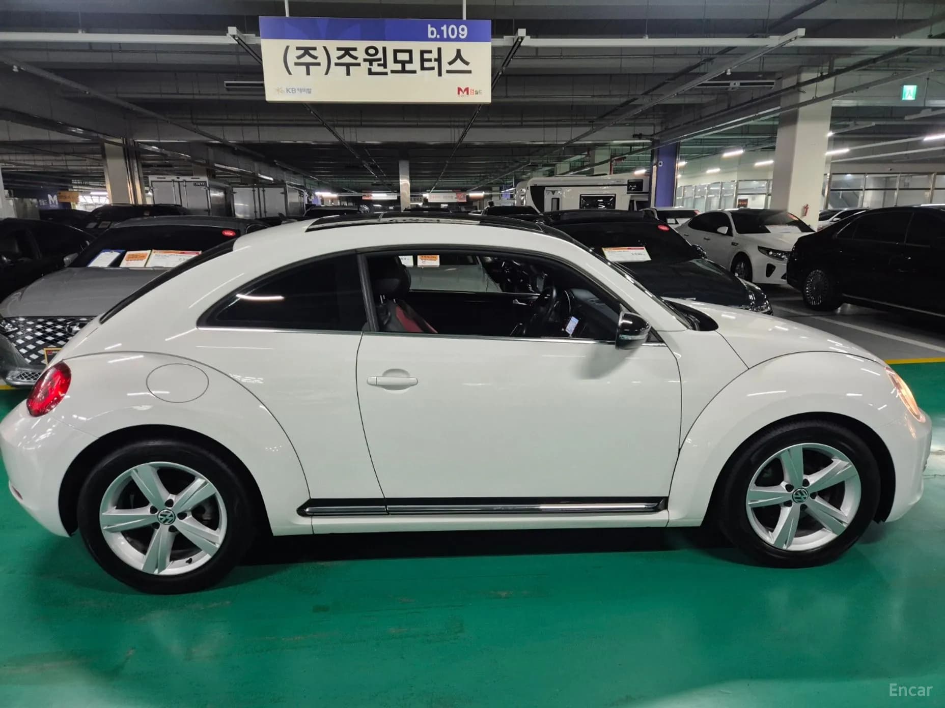 The Beetle