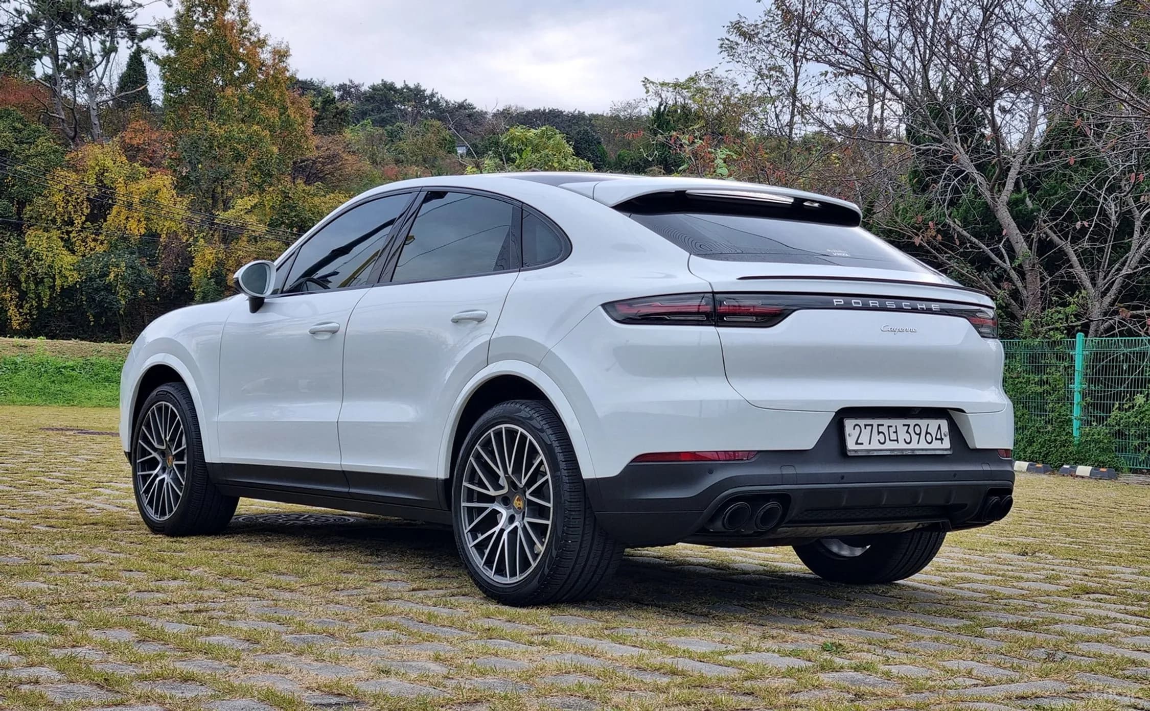 Cayenne (PO536)