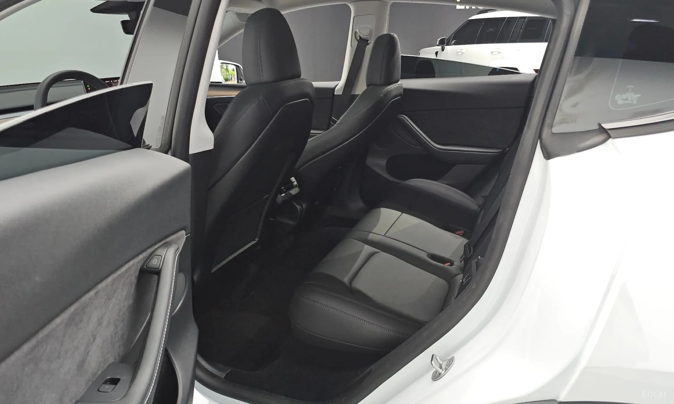 Model Y
