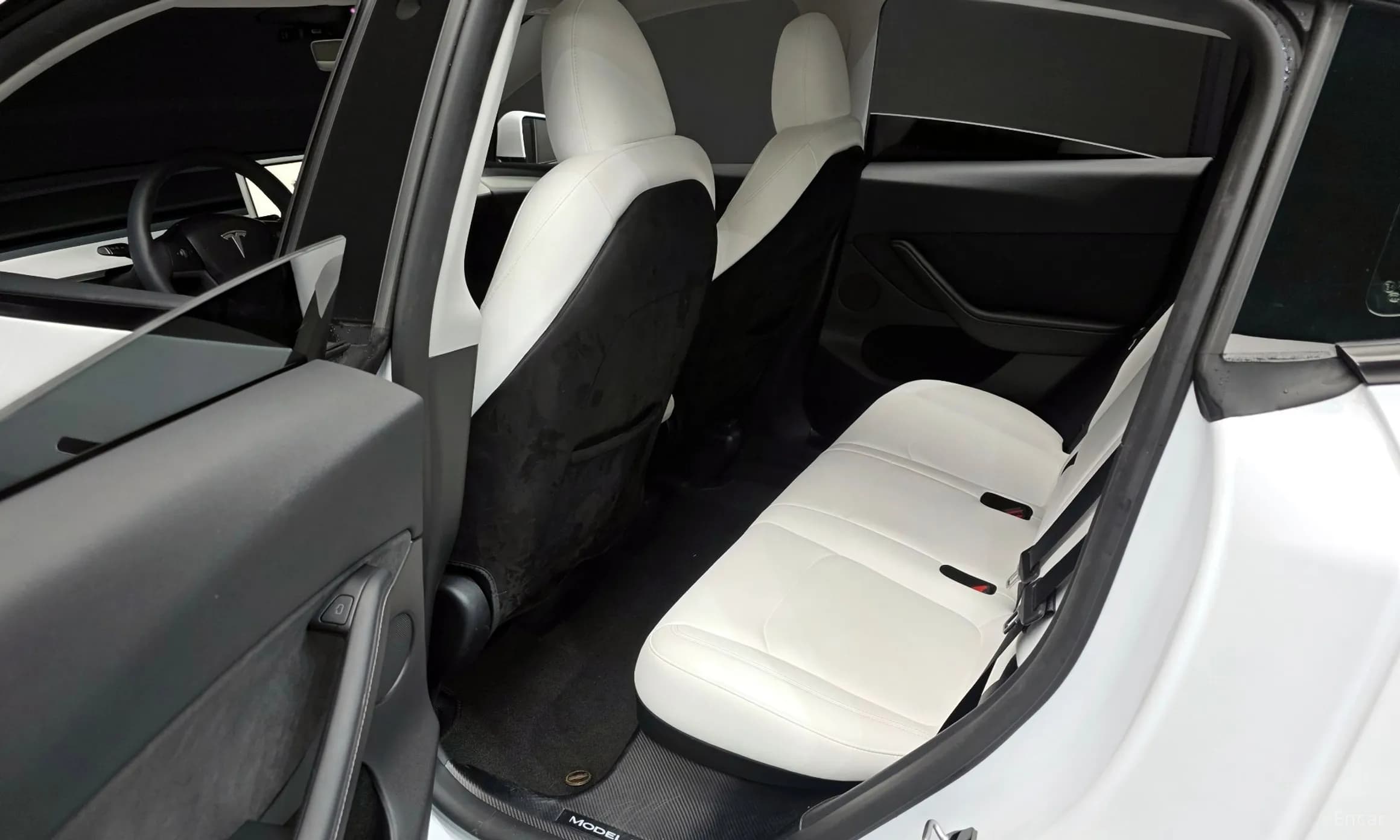 Model Y