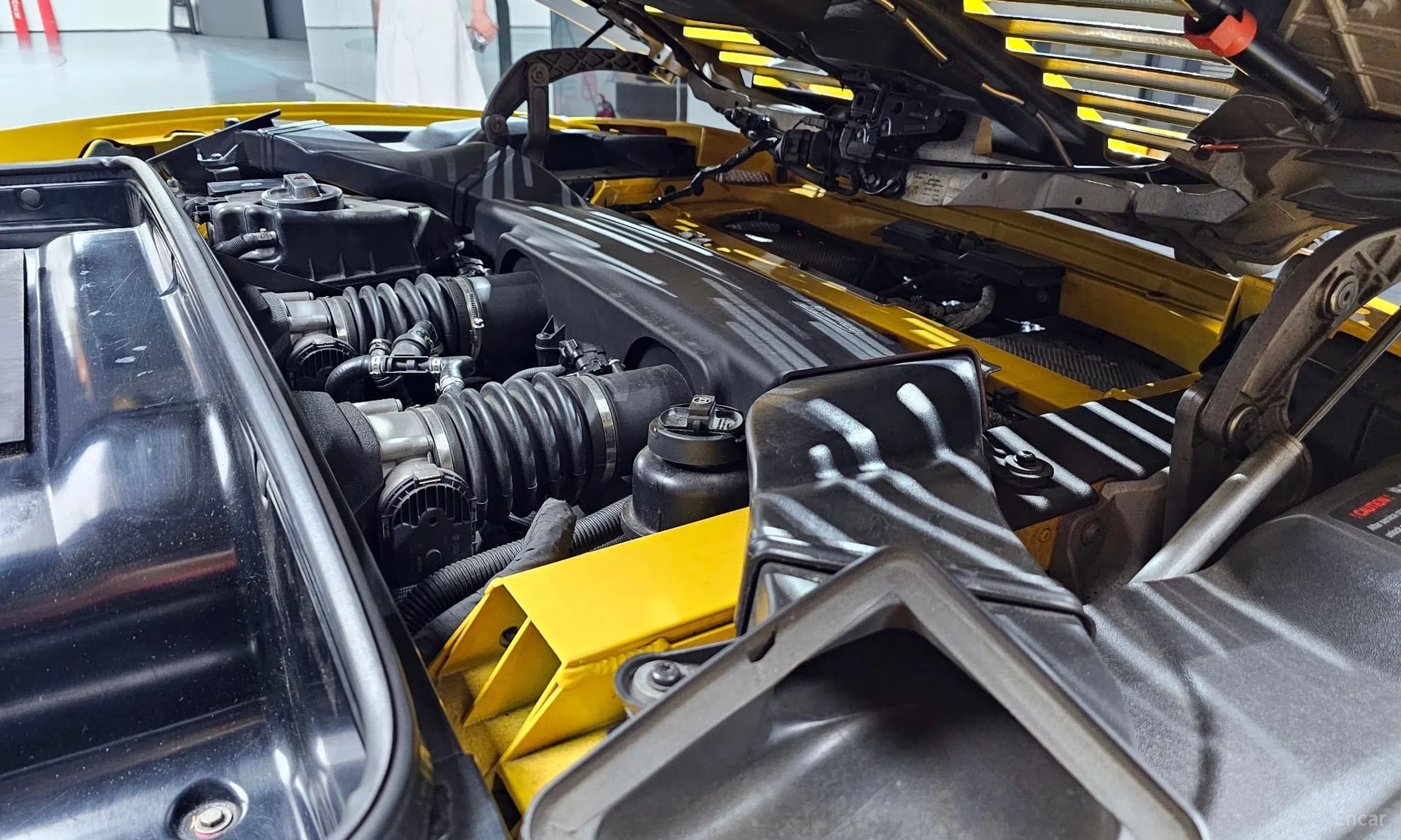 GALLARDO