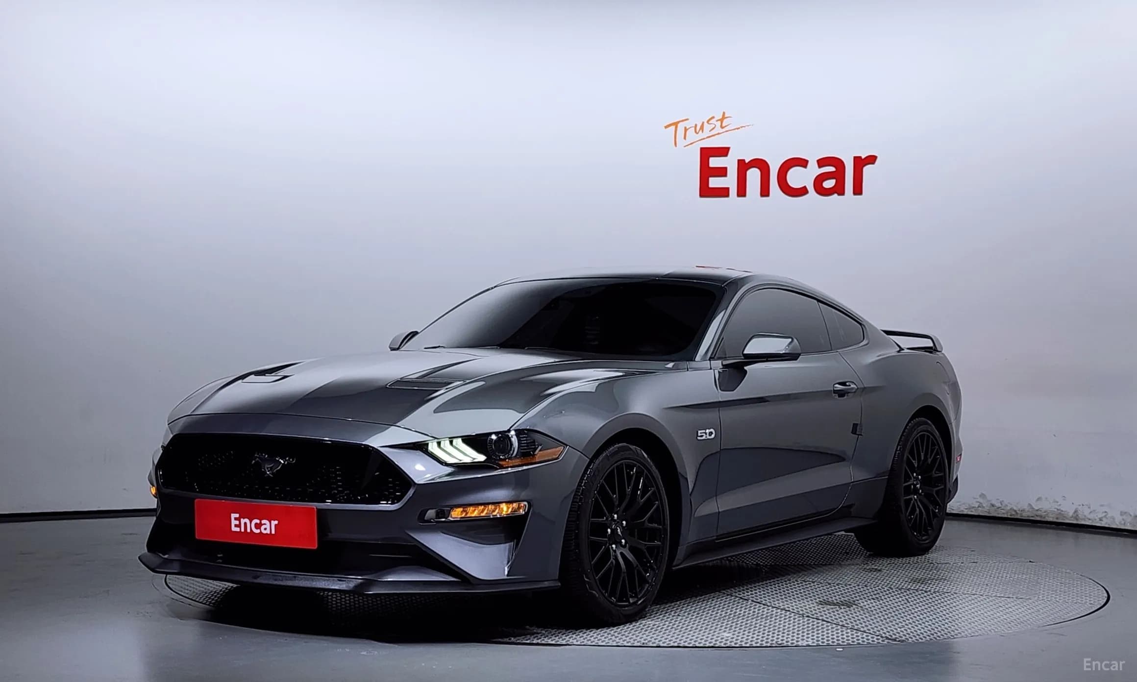 Mustang