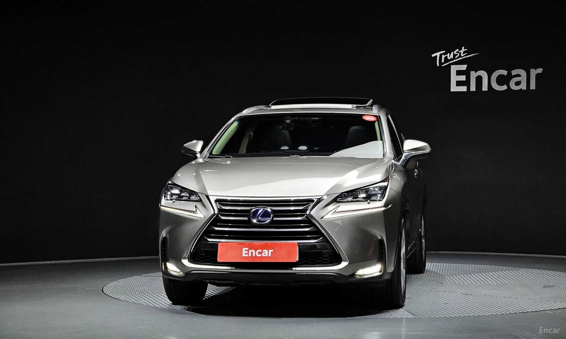 NX300h