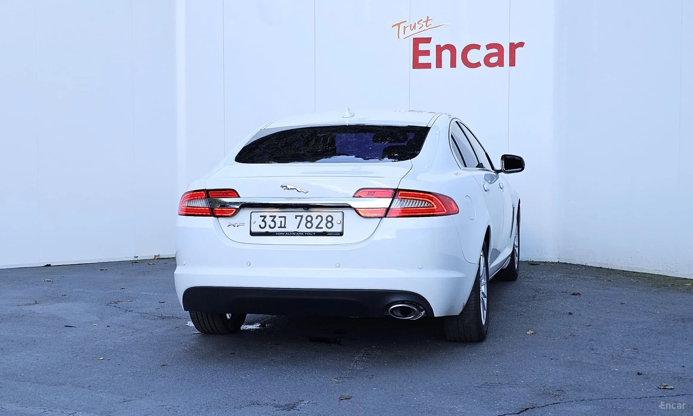 New XF