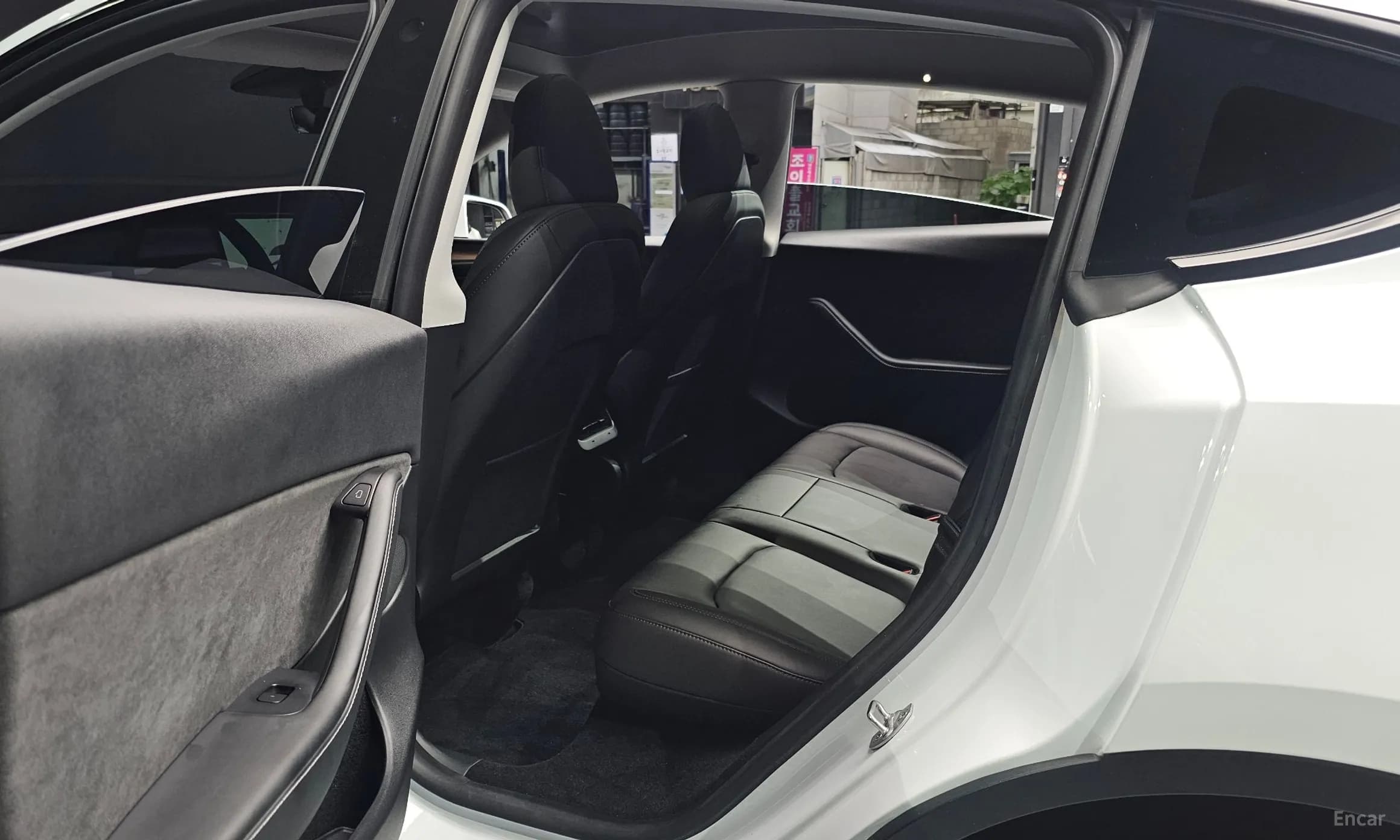 Model Y