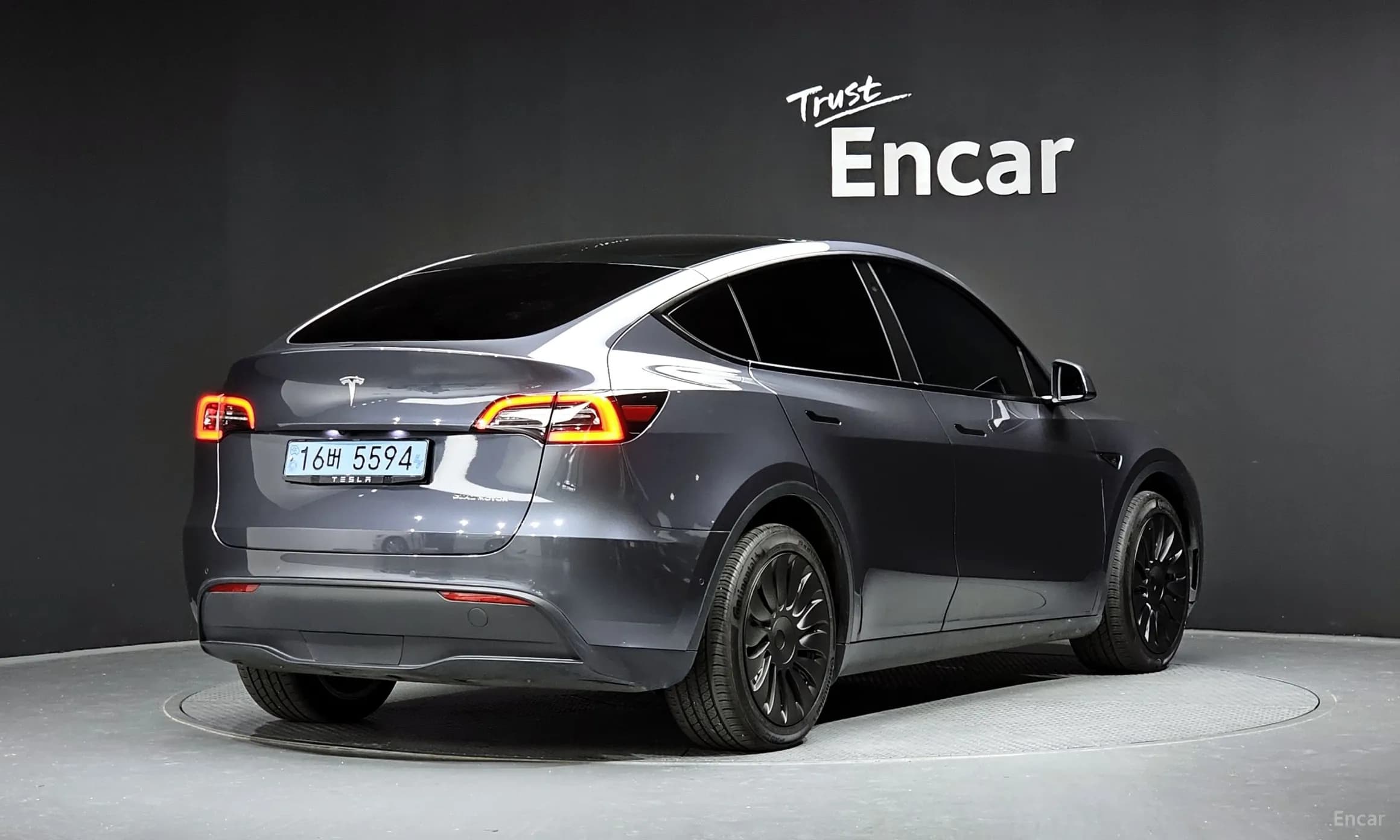 Model Y