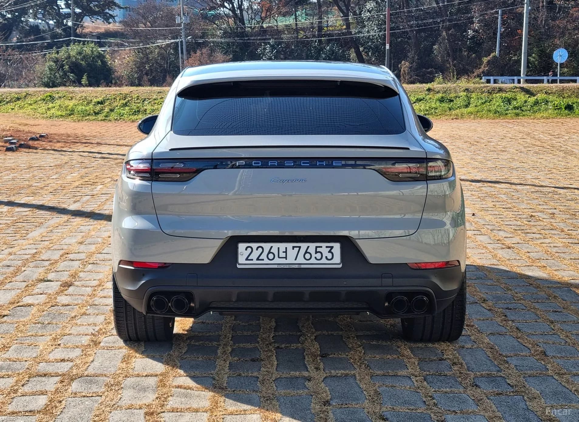Cayenne (PO536)