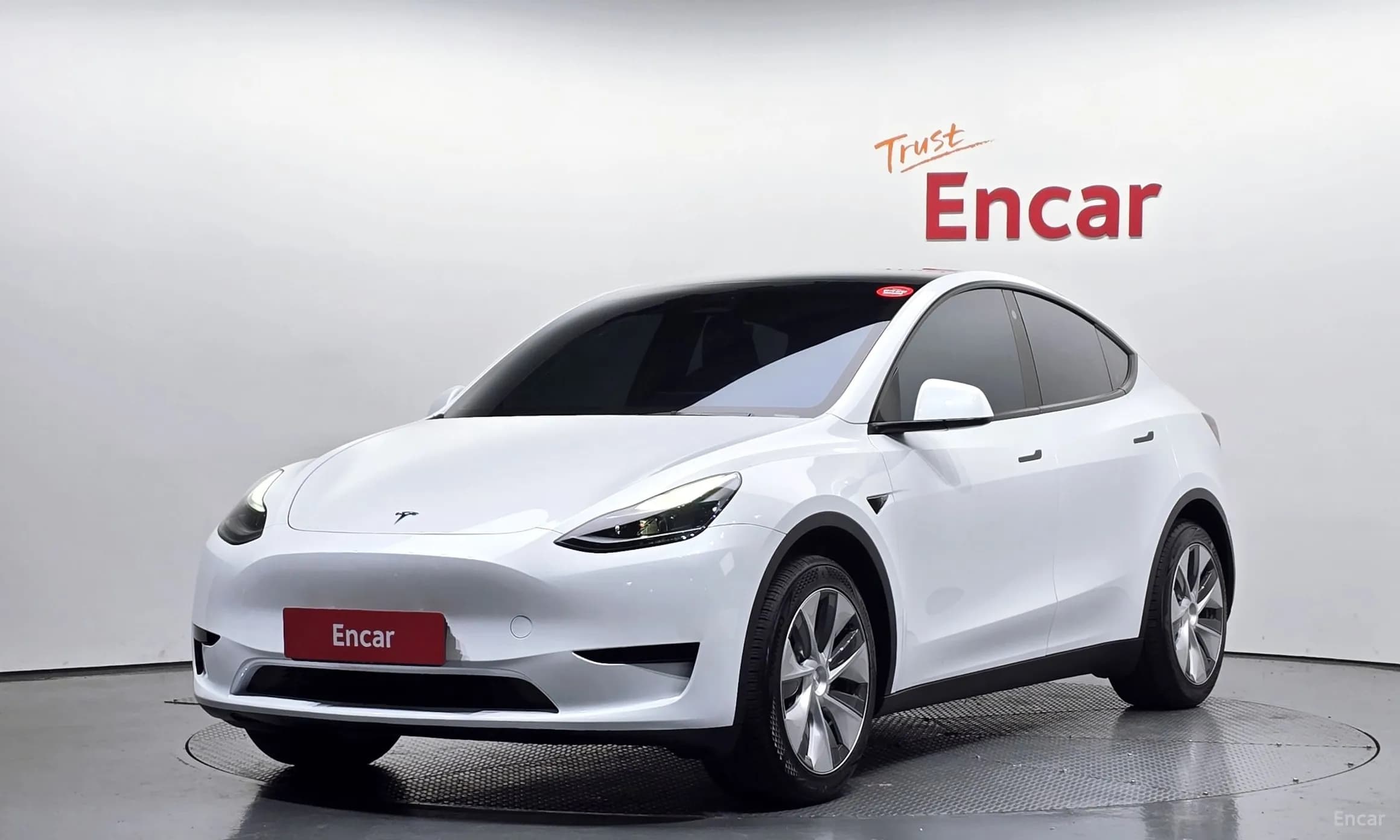 Model Y