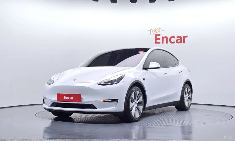 Model Y