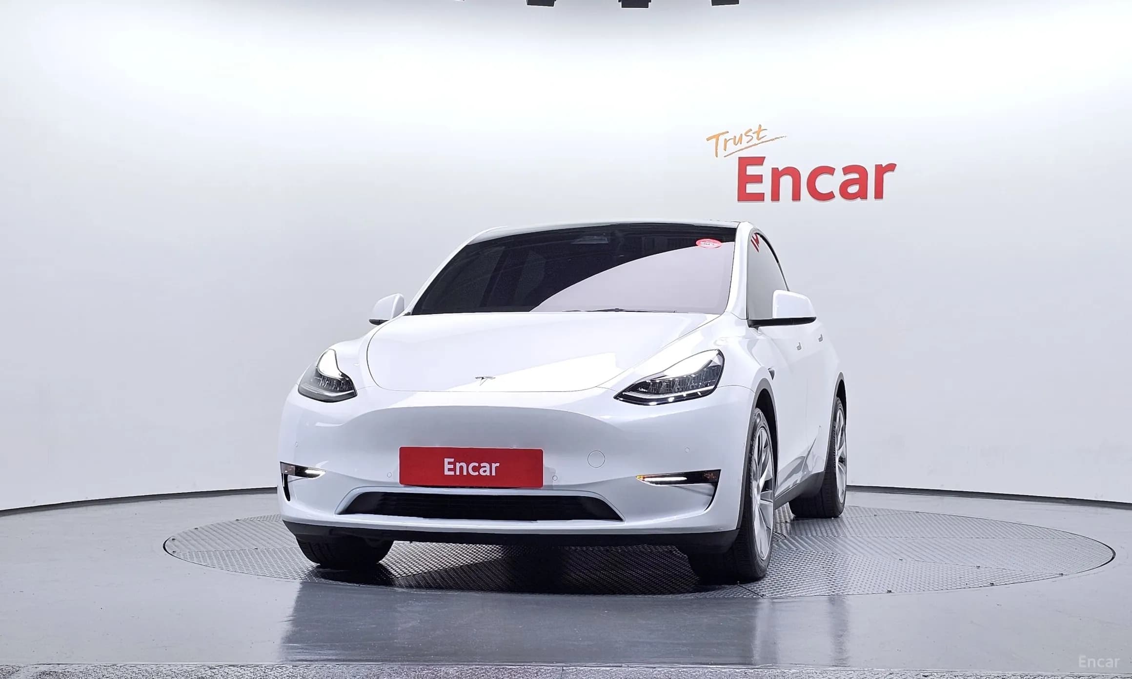 Model Y