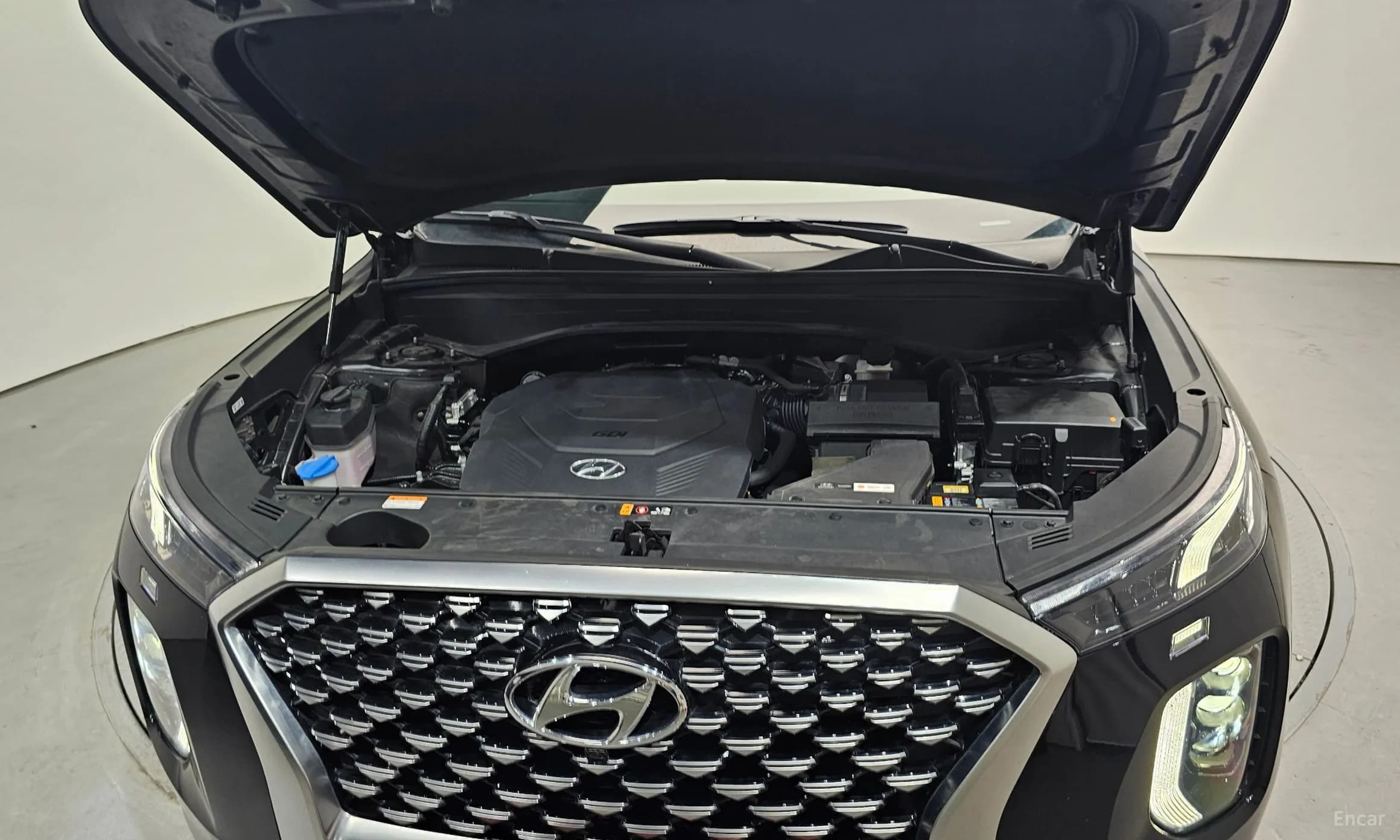 Palisade