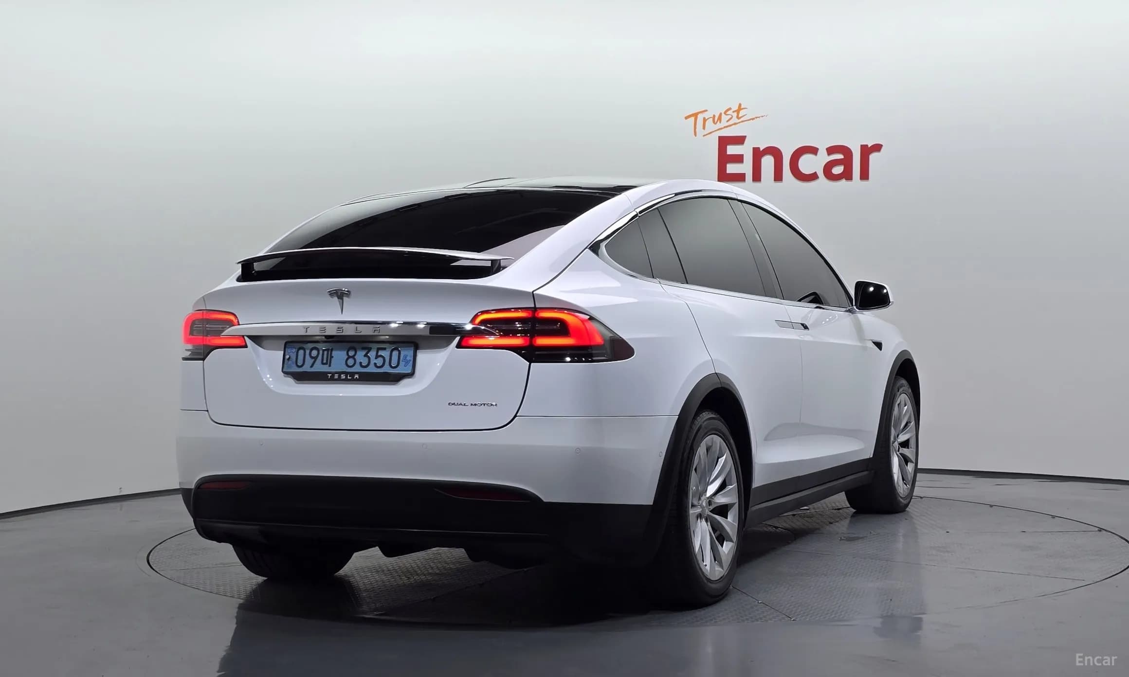 Model X