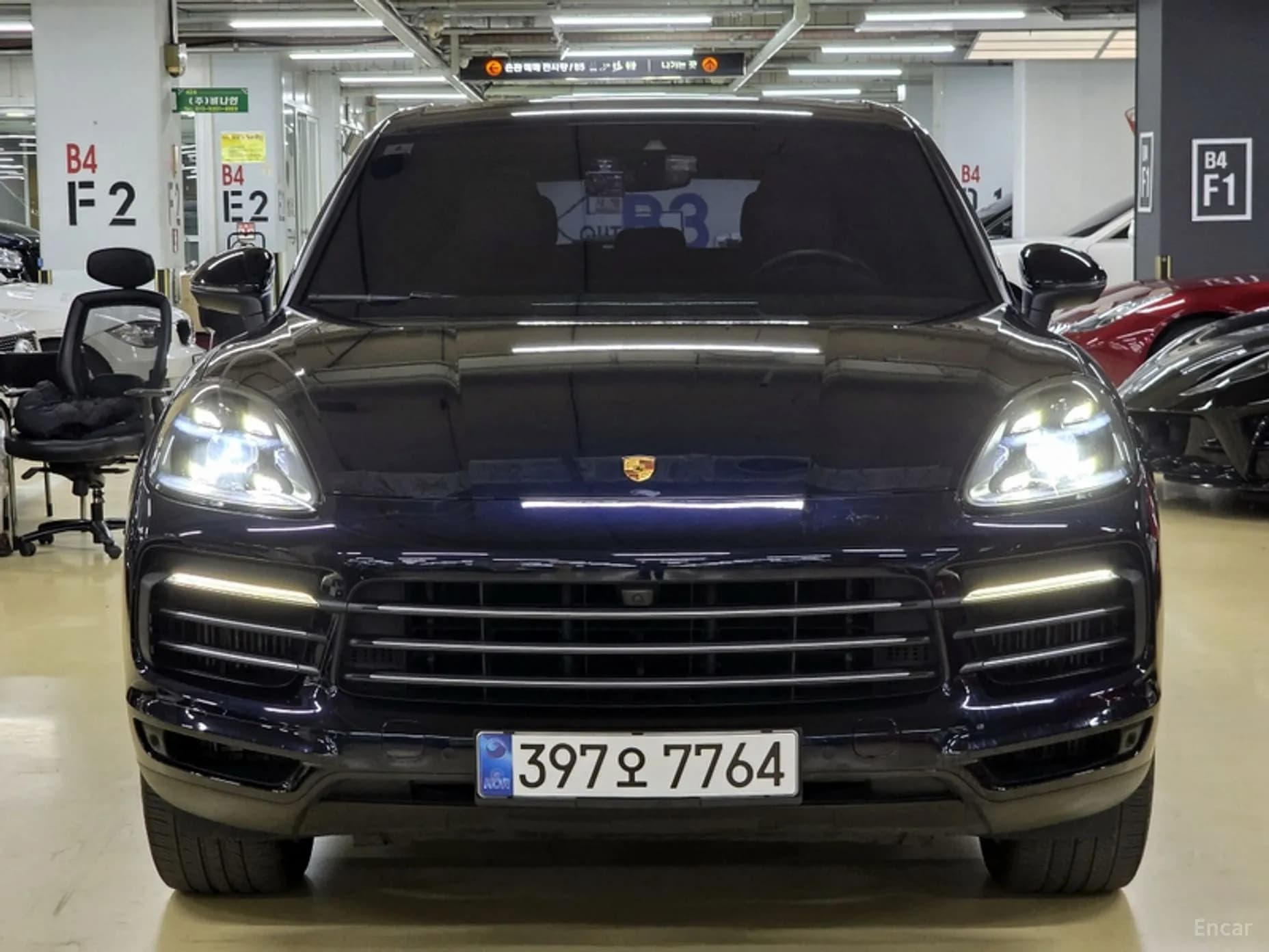 Cayenne (PO536)