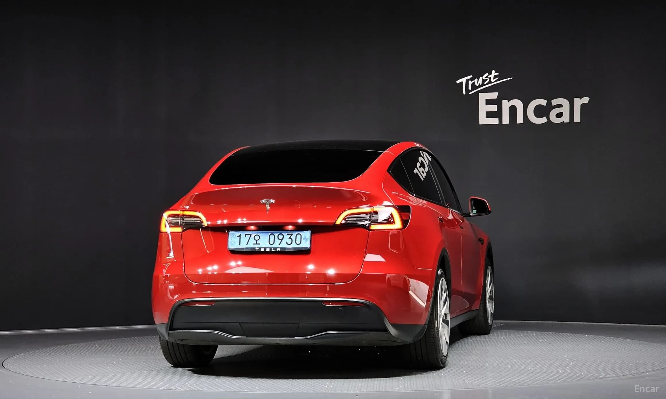 Model Y