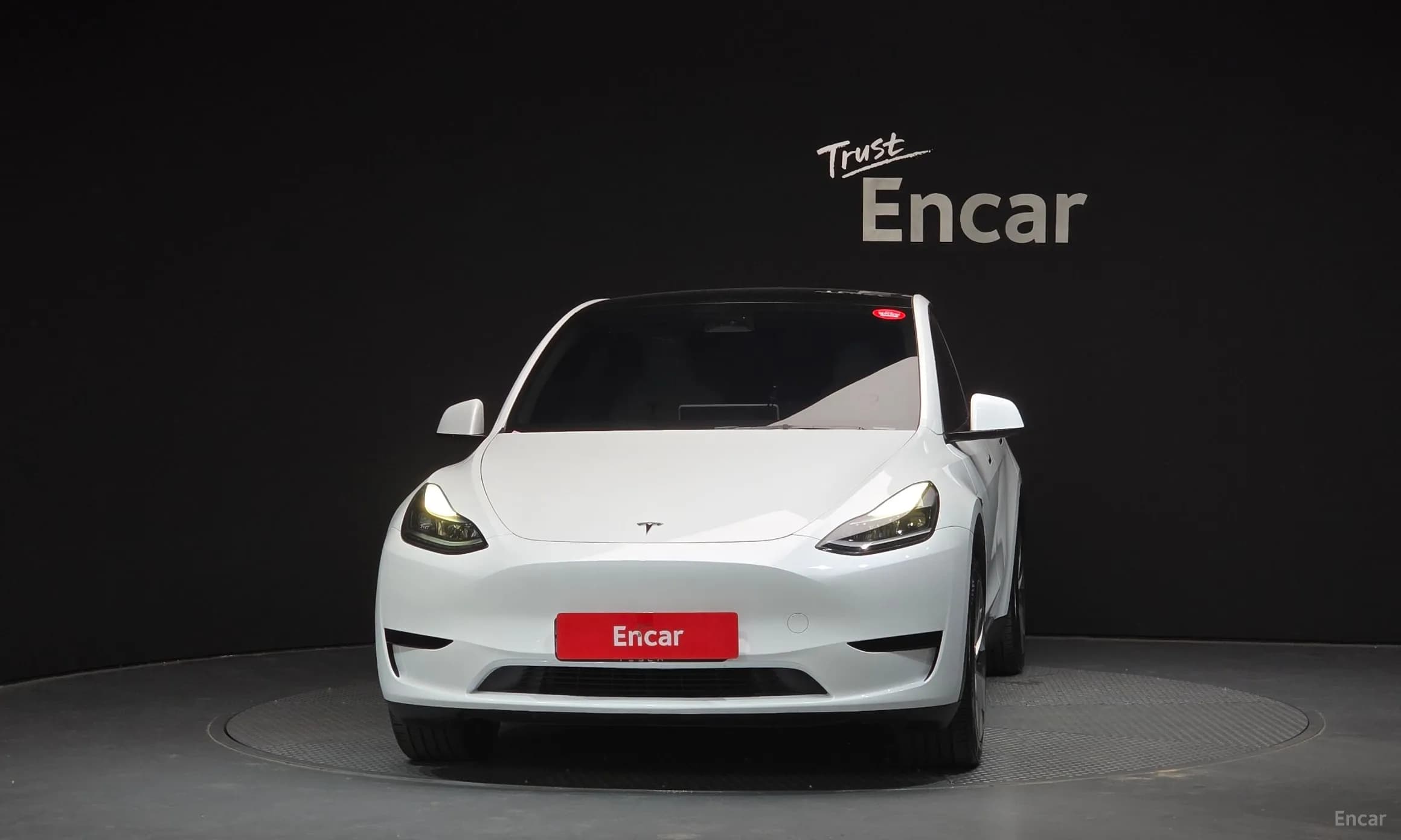 Model Y