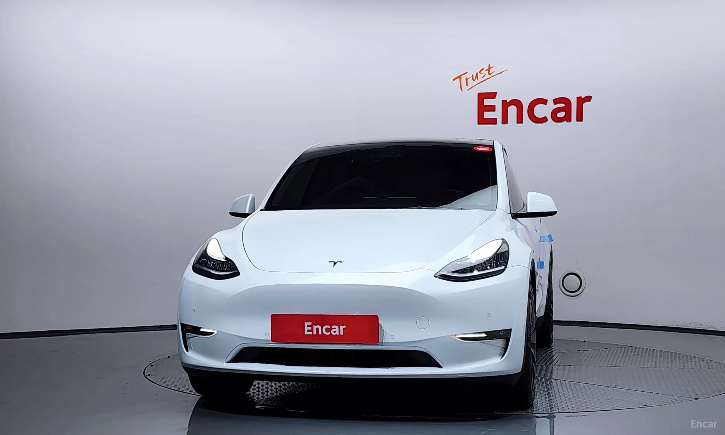 Model Y