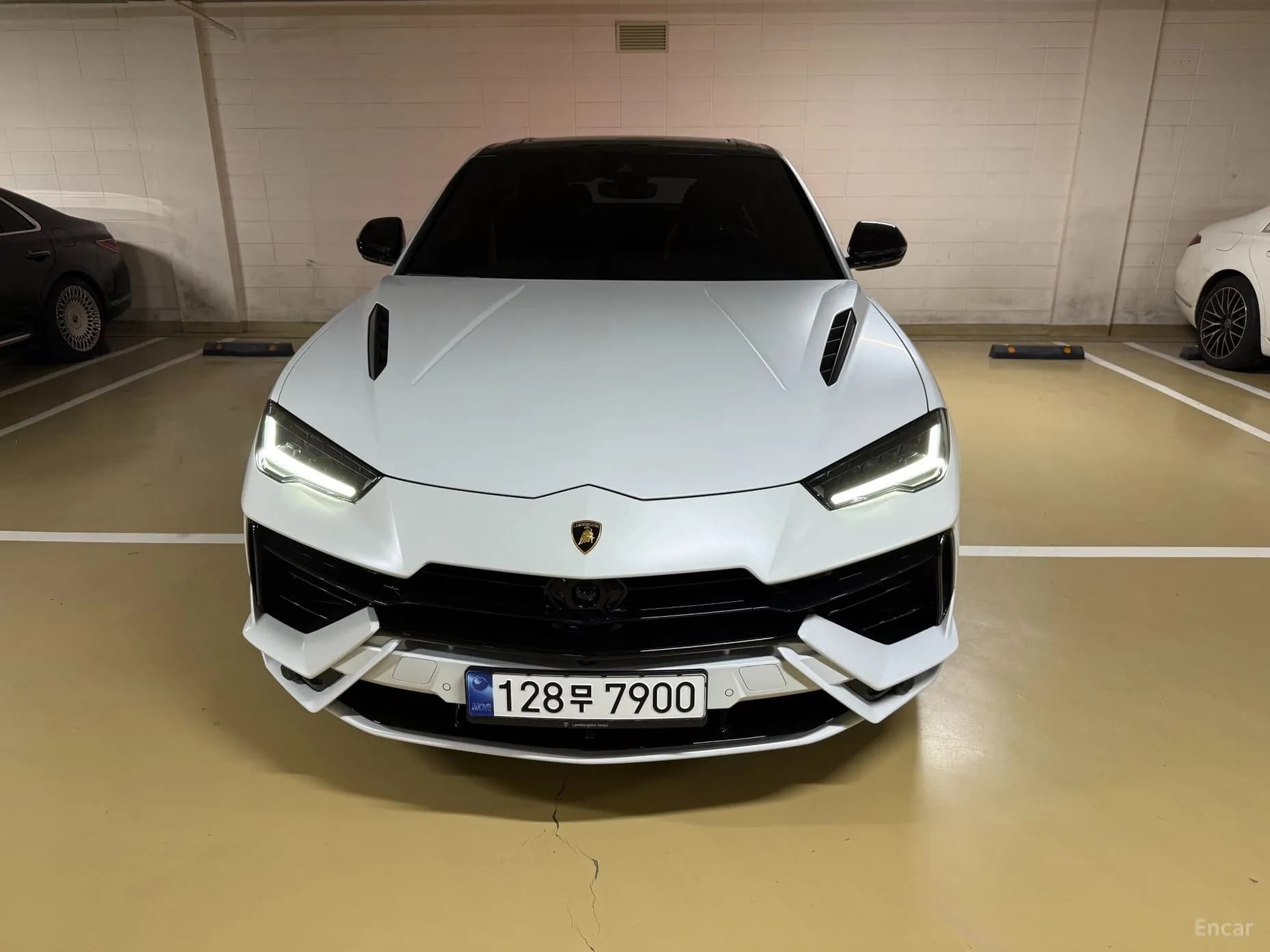 Urus