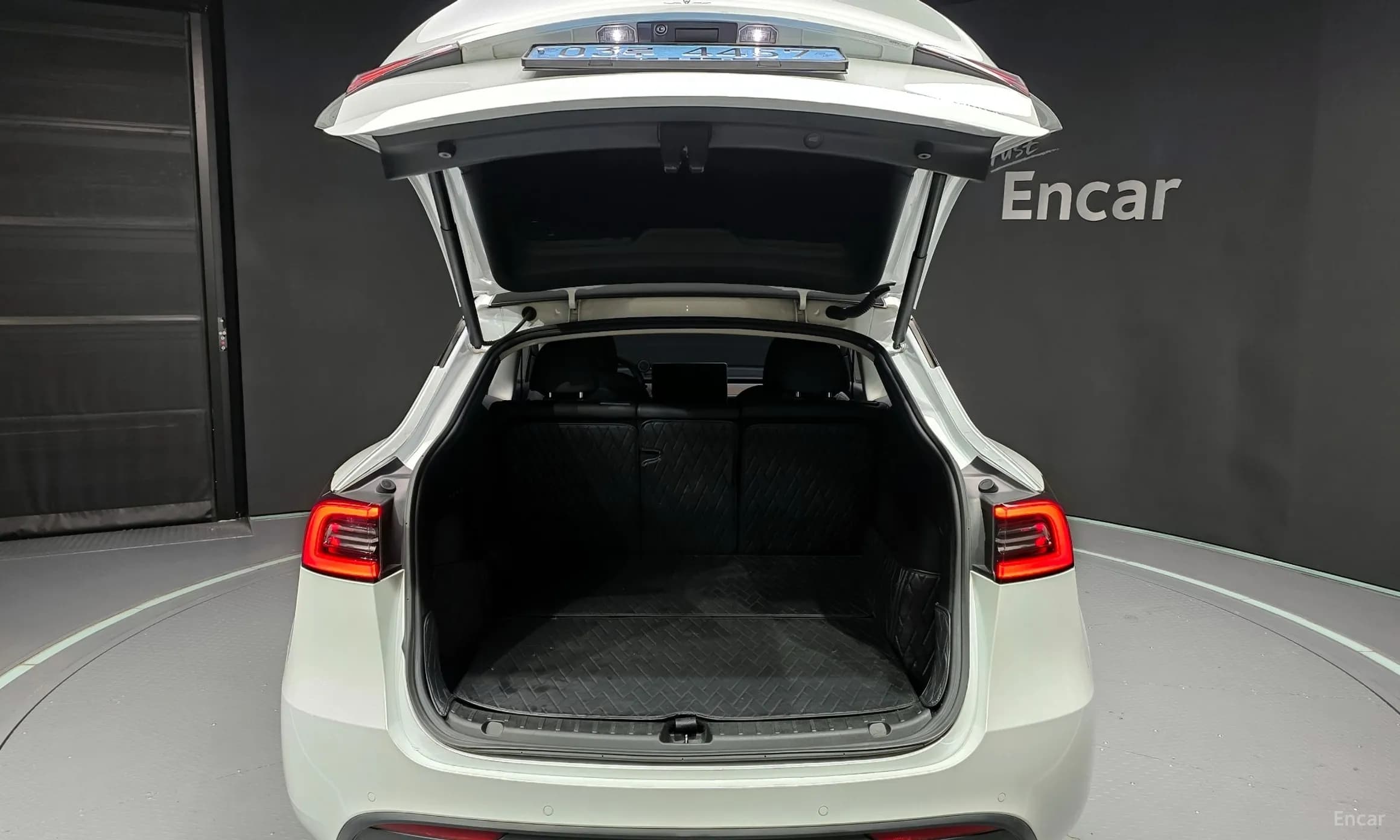 Model Y