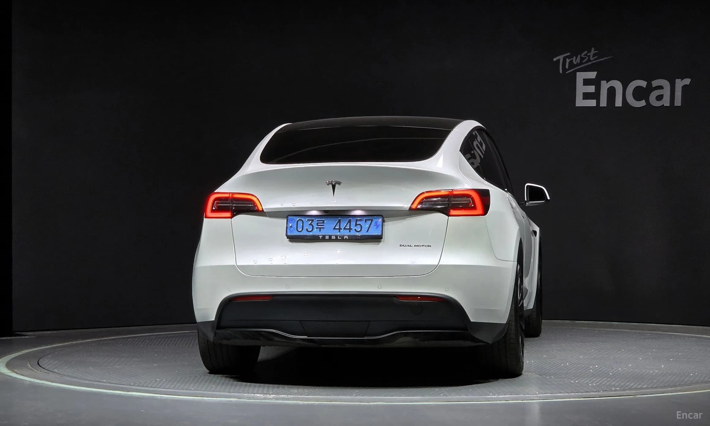 Model Y