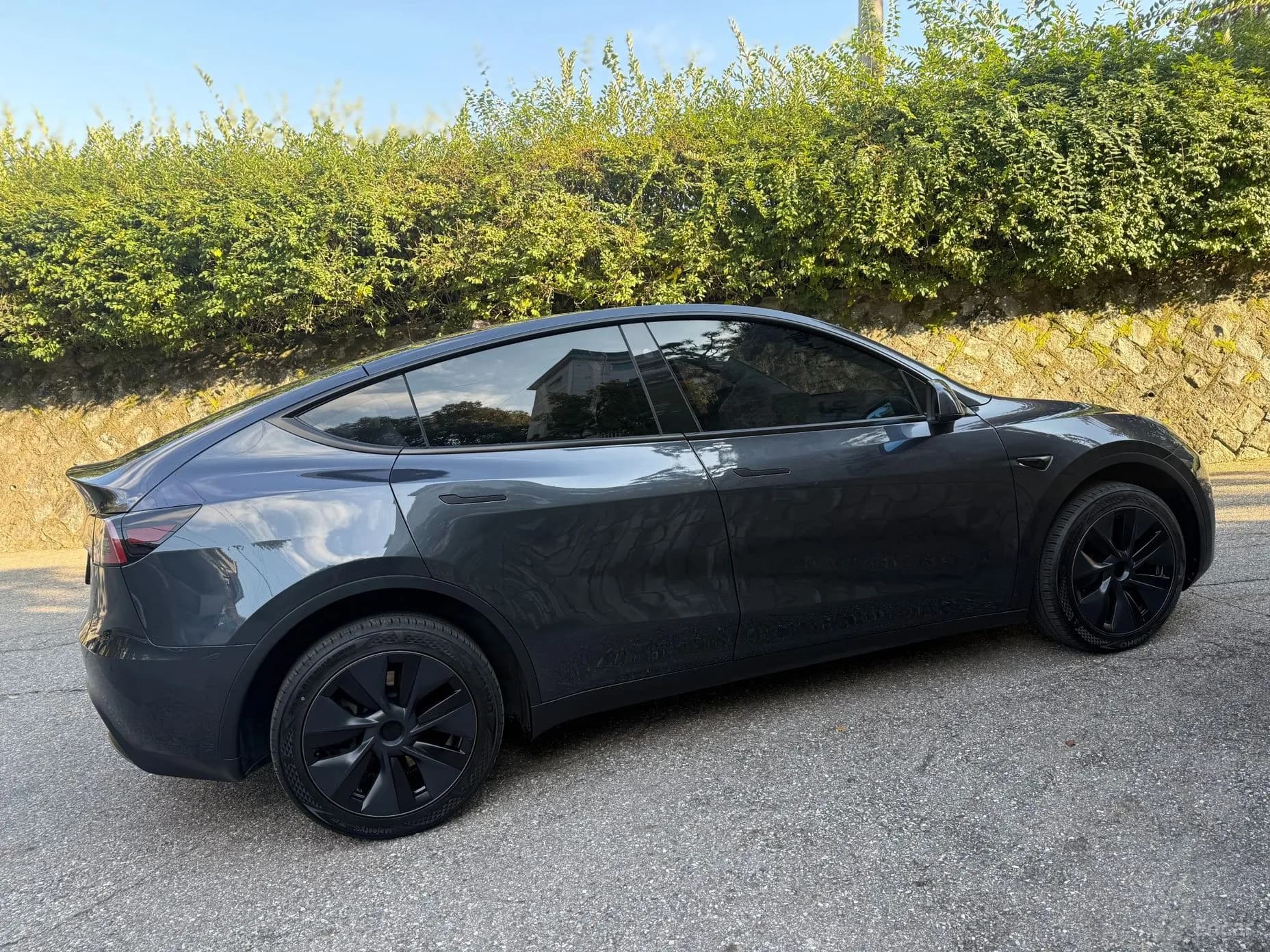 Model Y