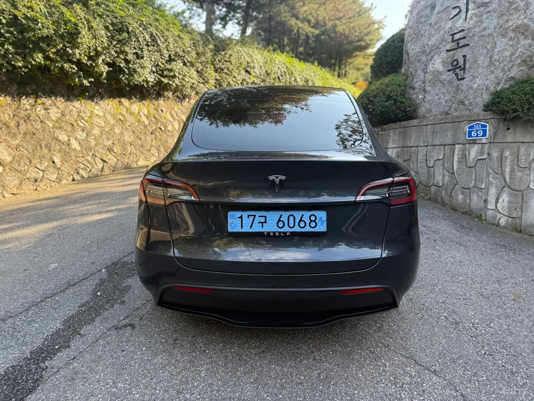 Model Y
