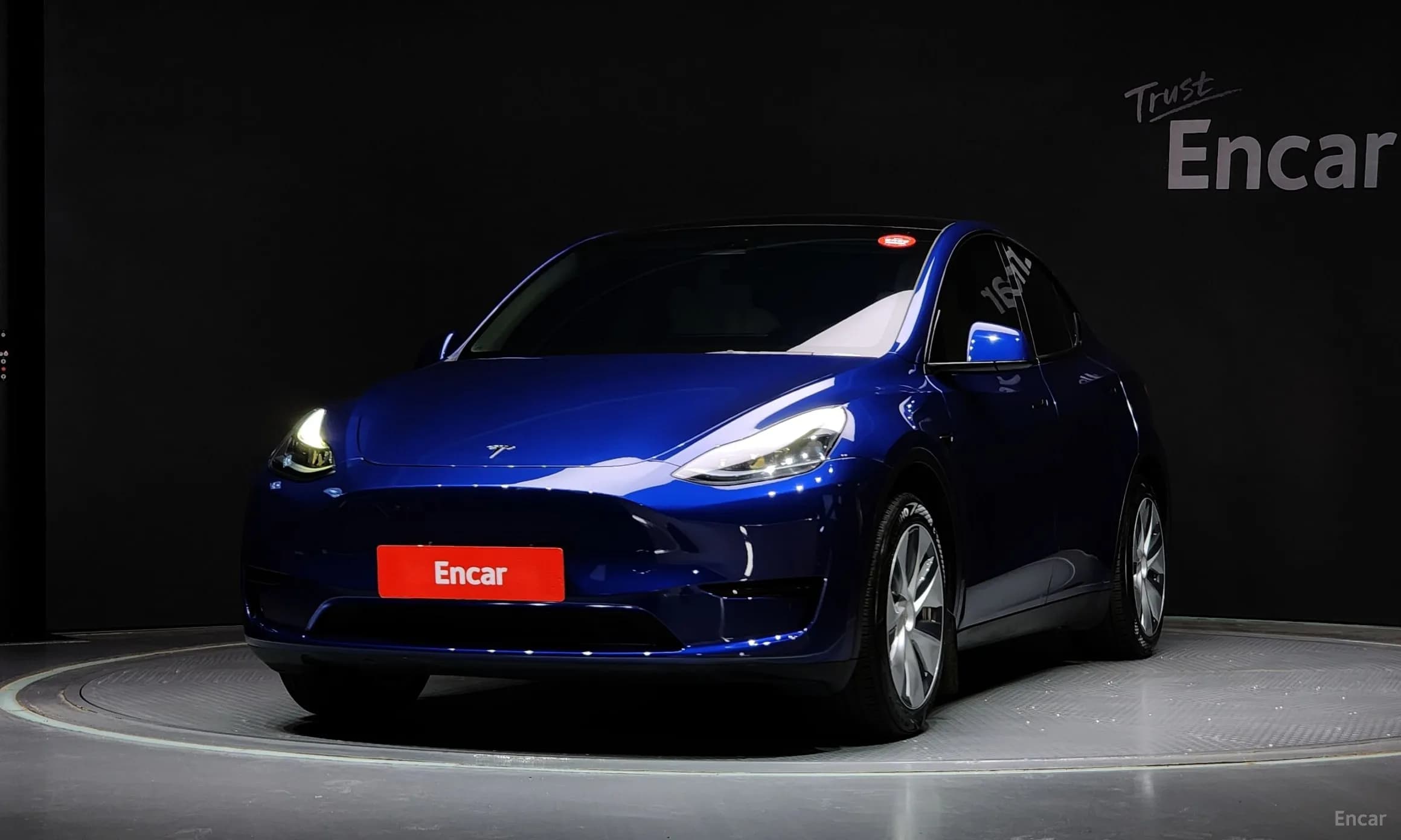 Model Y