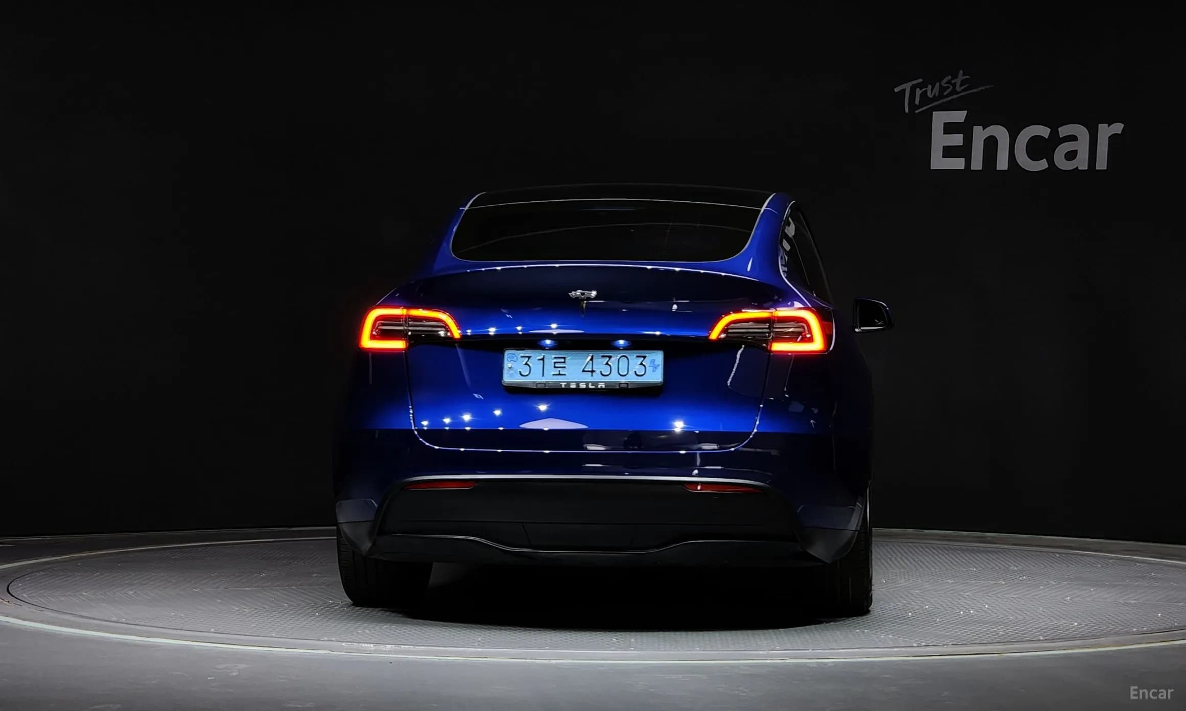 Model Y