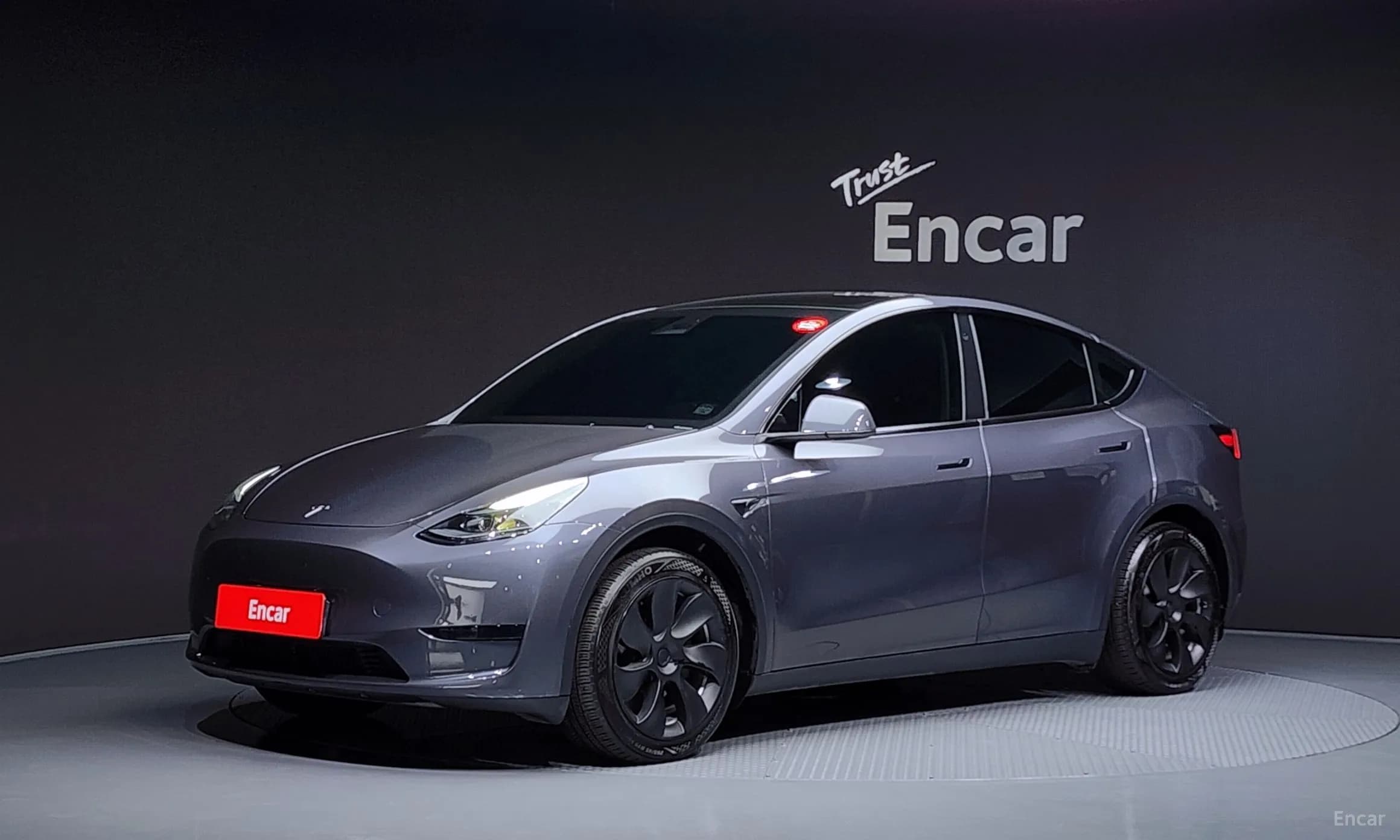 Model Y