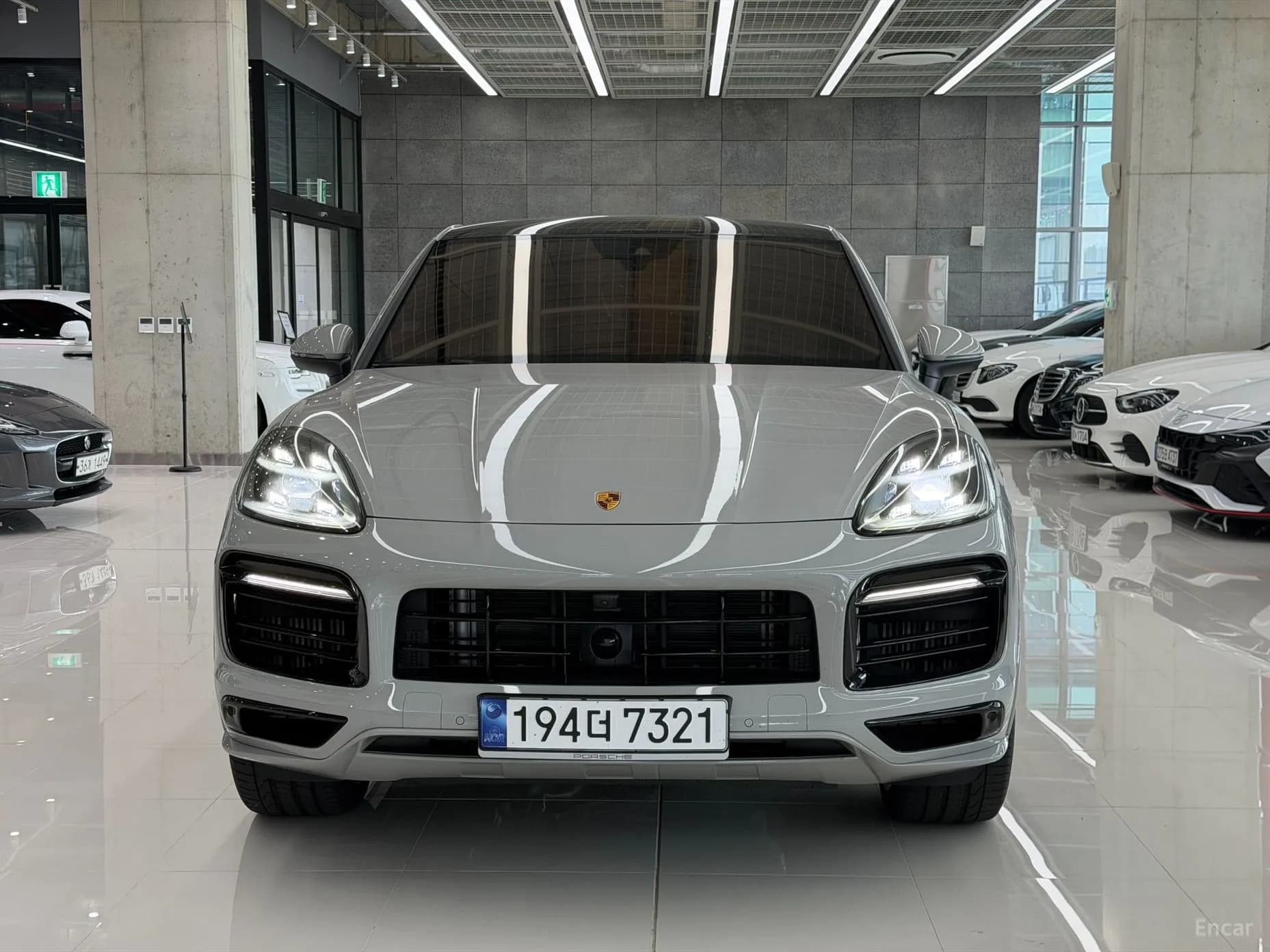 Cayenne (PO536)