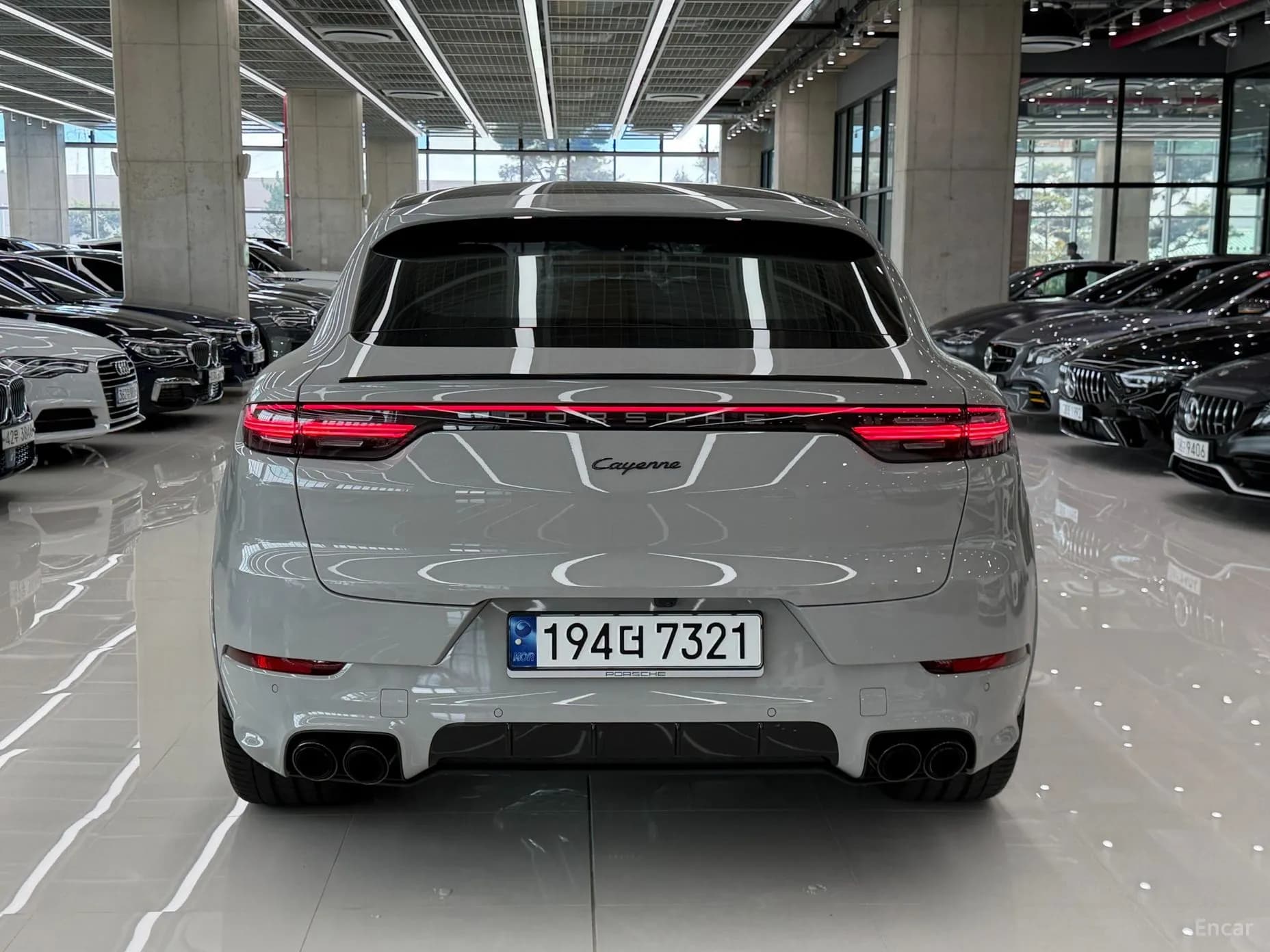 Cayenne (PO536)