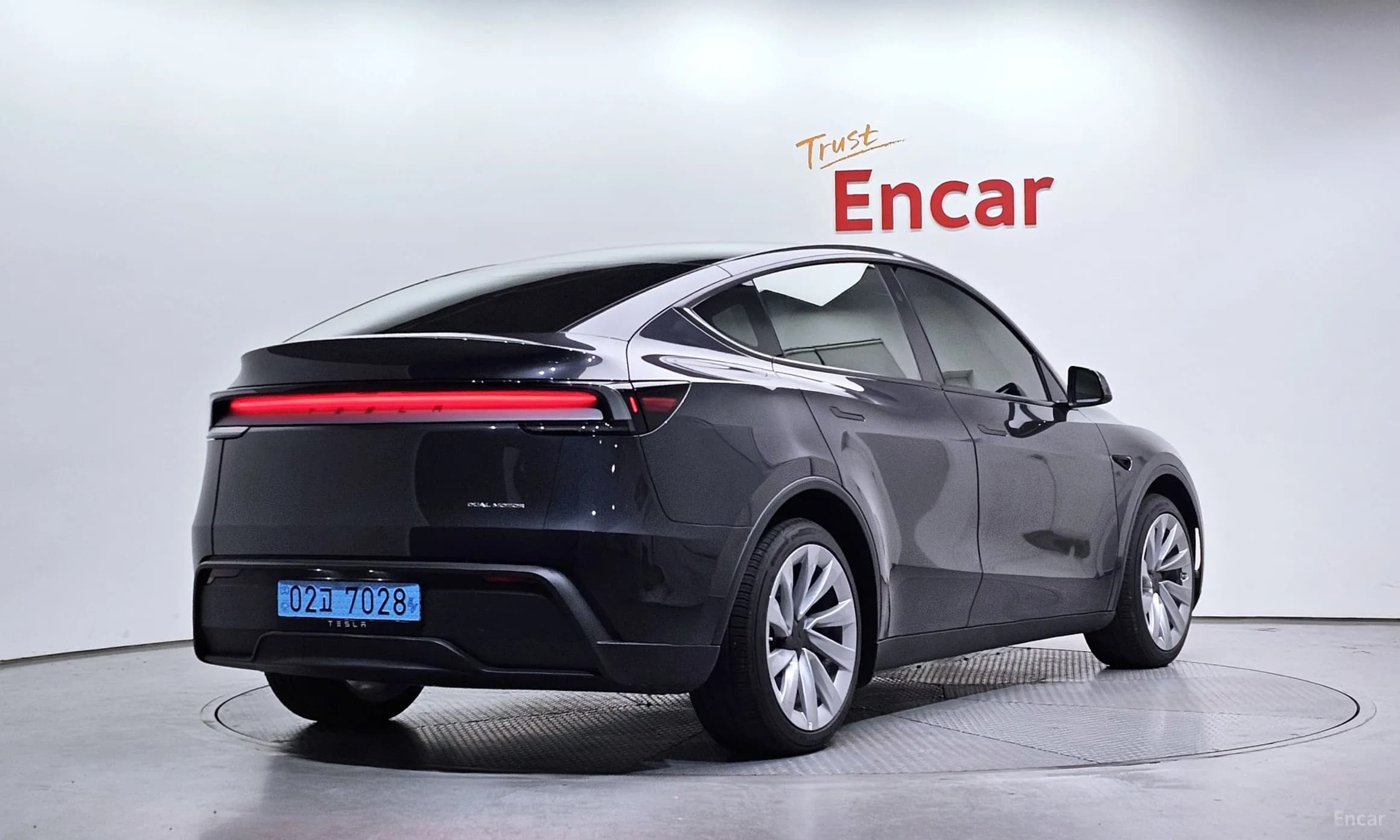 Model Y