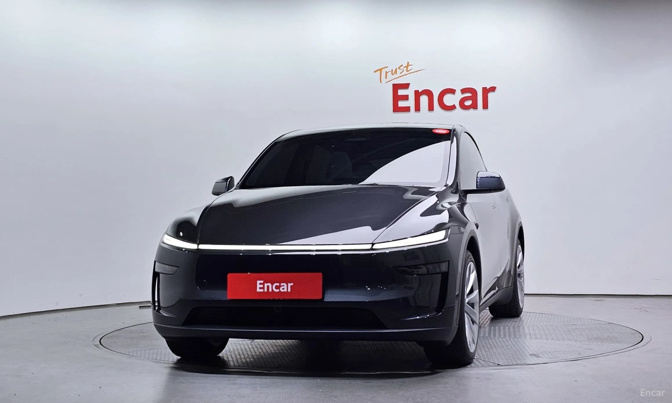 Model Y
