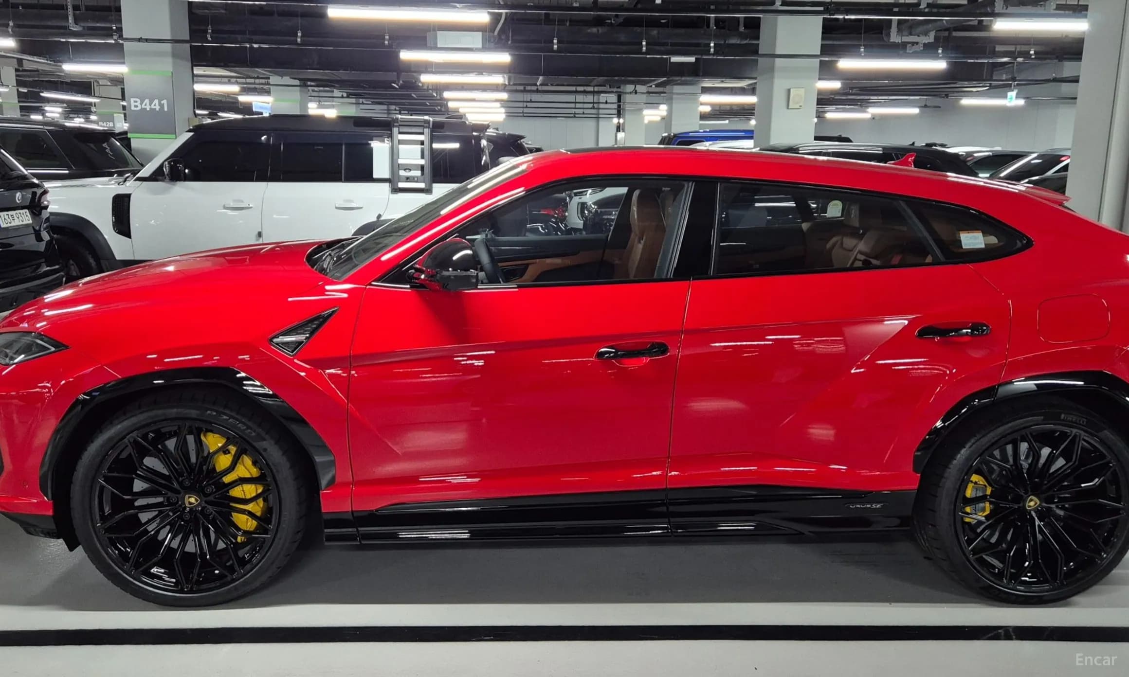Urus