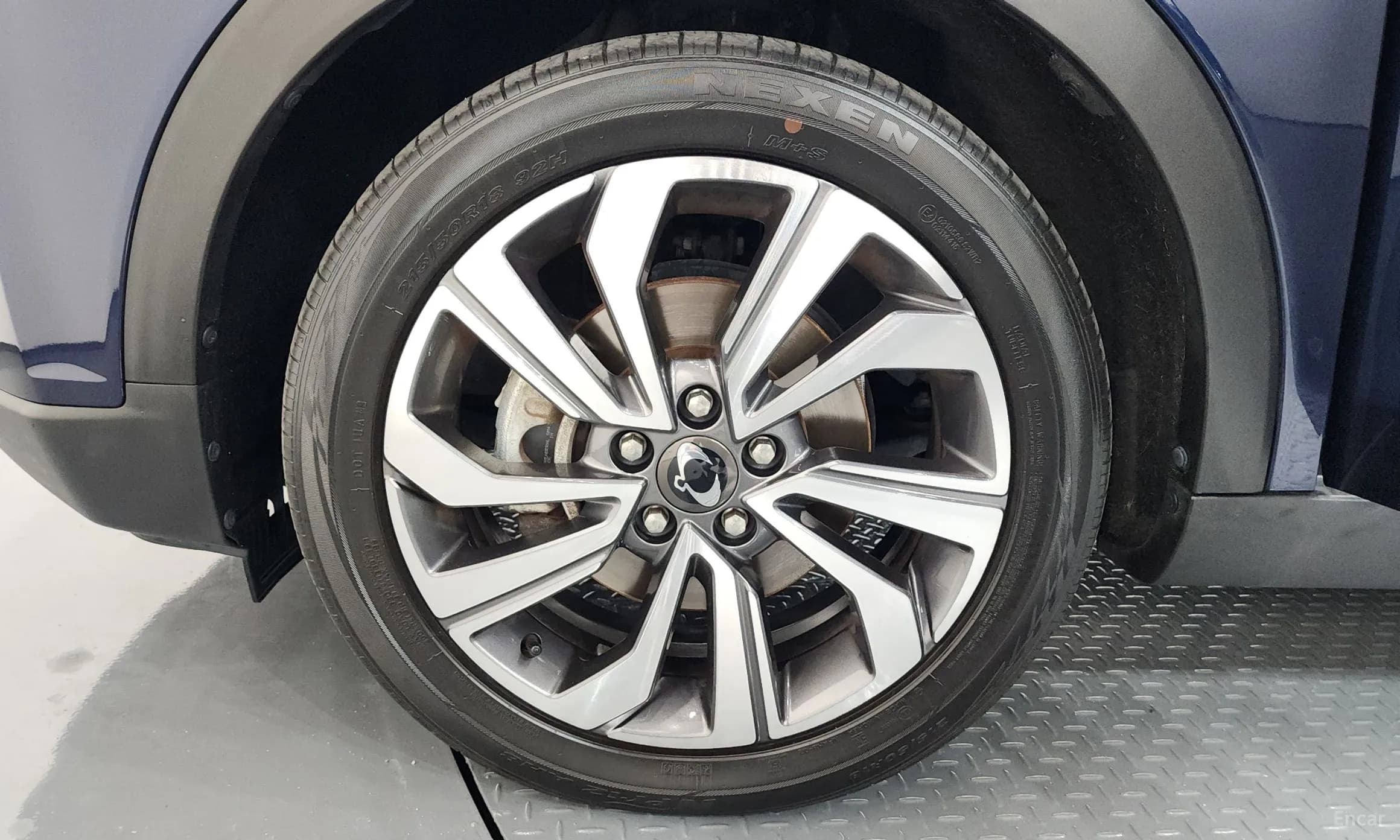 Berry New Tivoli