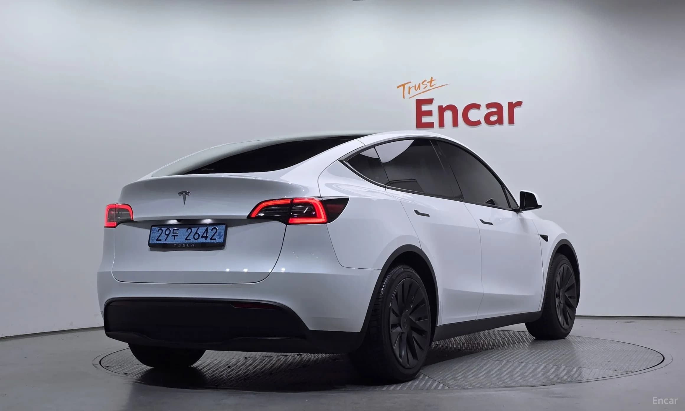 Model Y