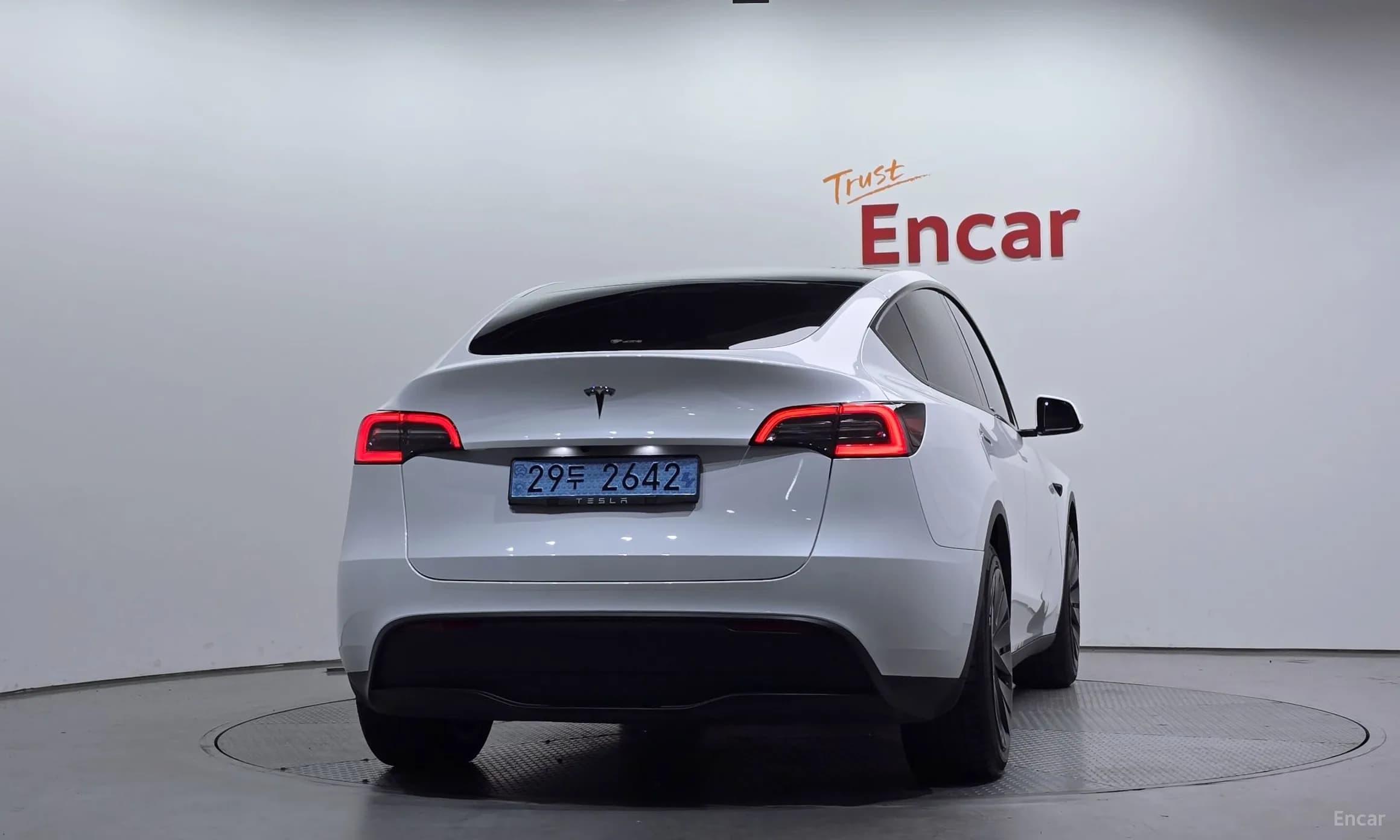 Model Y