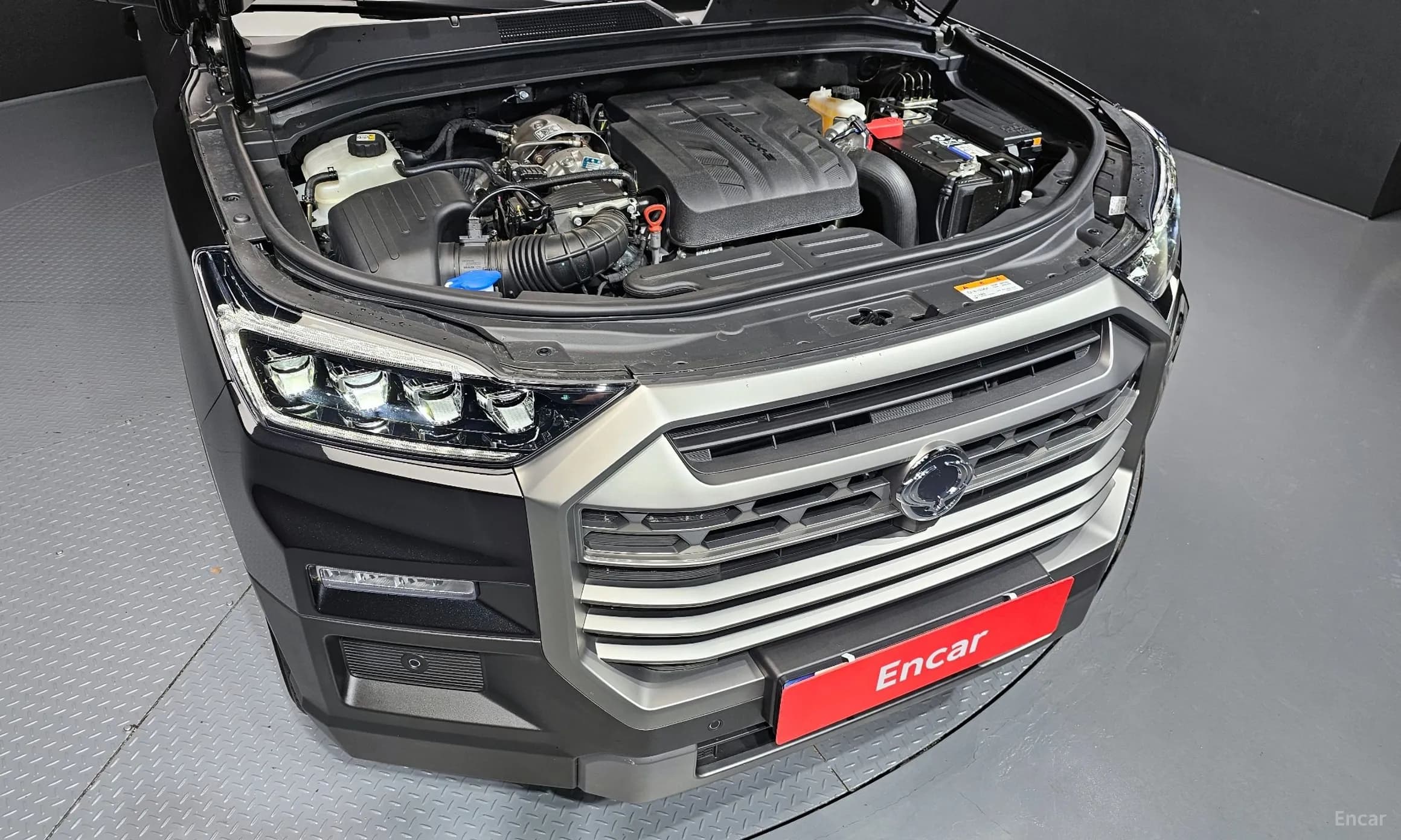 Rexton Sports