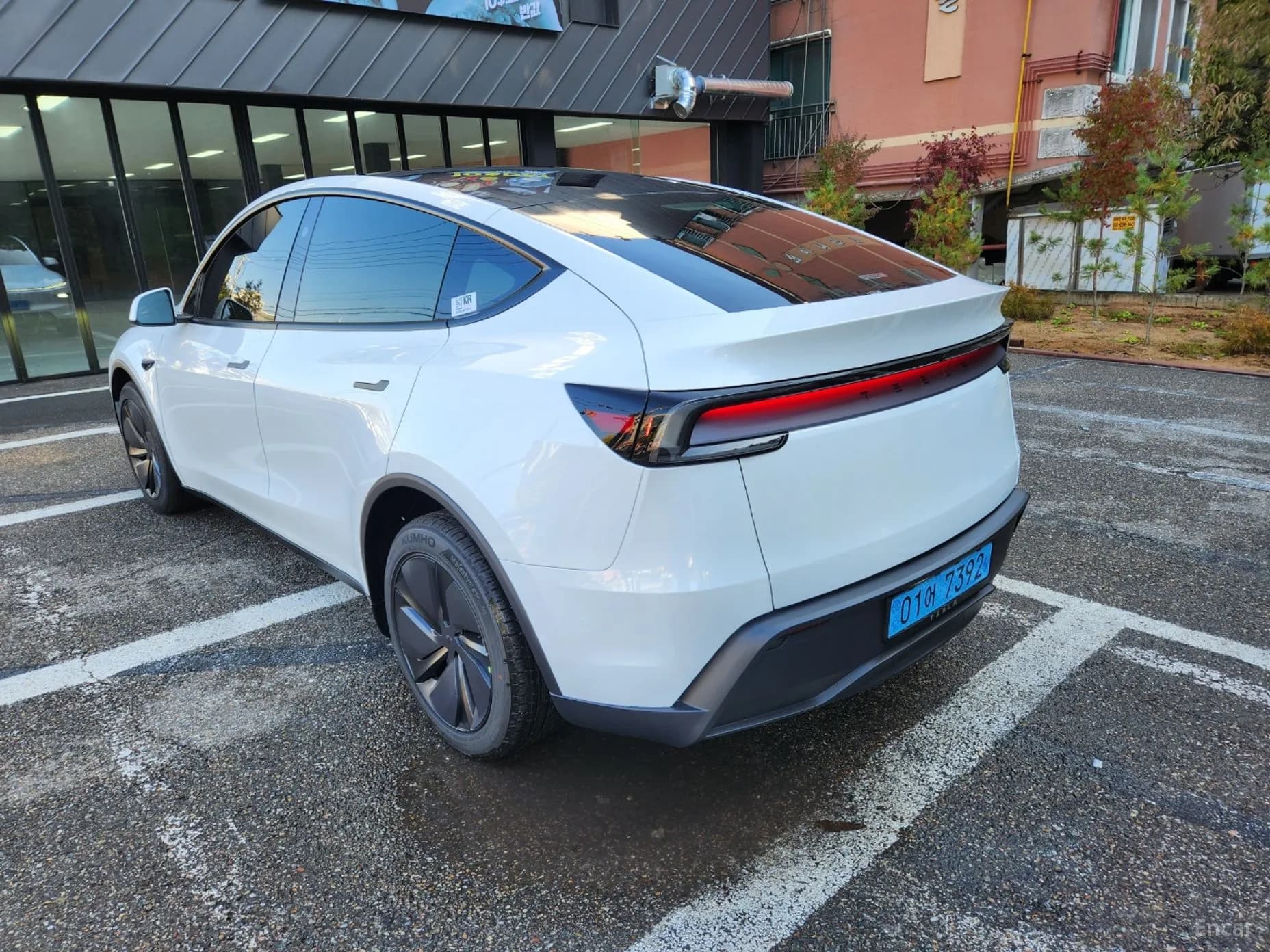 Model Y