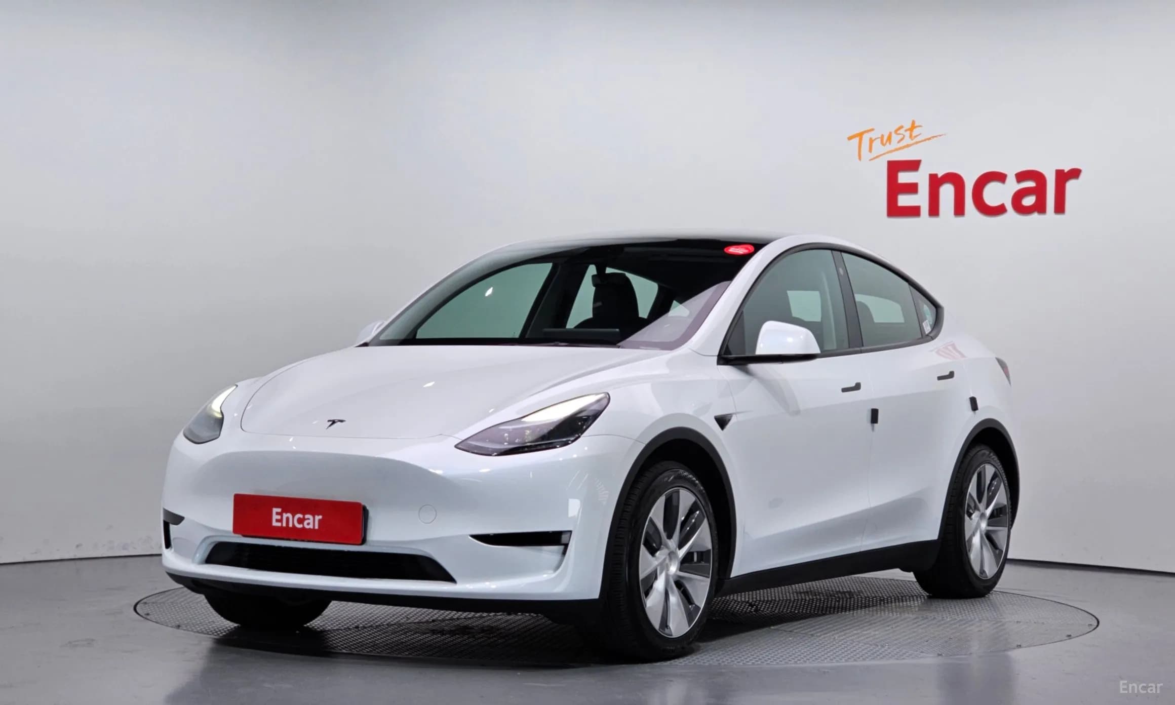 Model Y