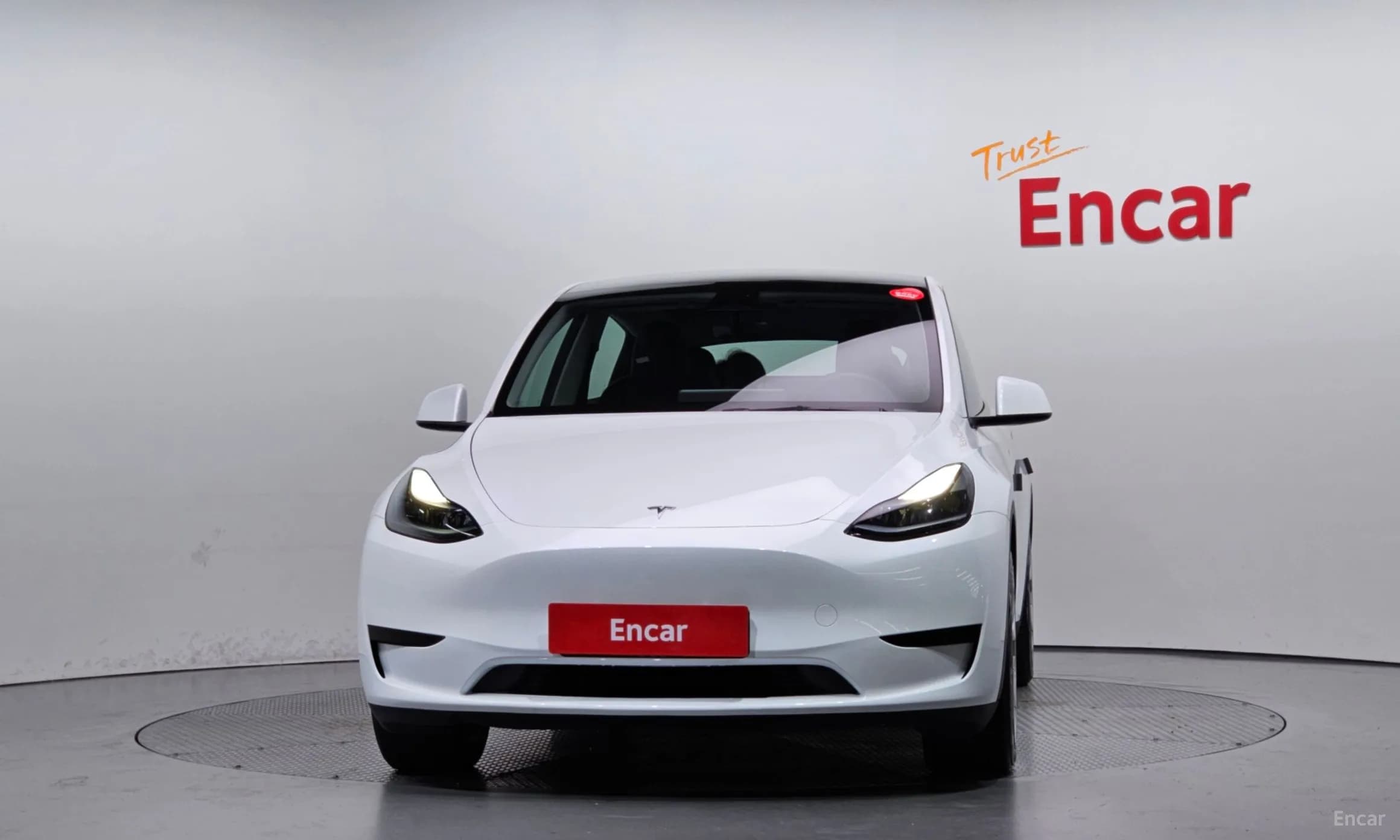 Model Y