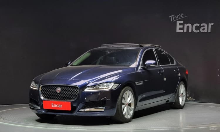 XF (x260)