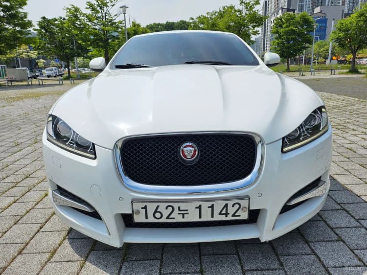 New XF