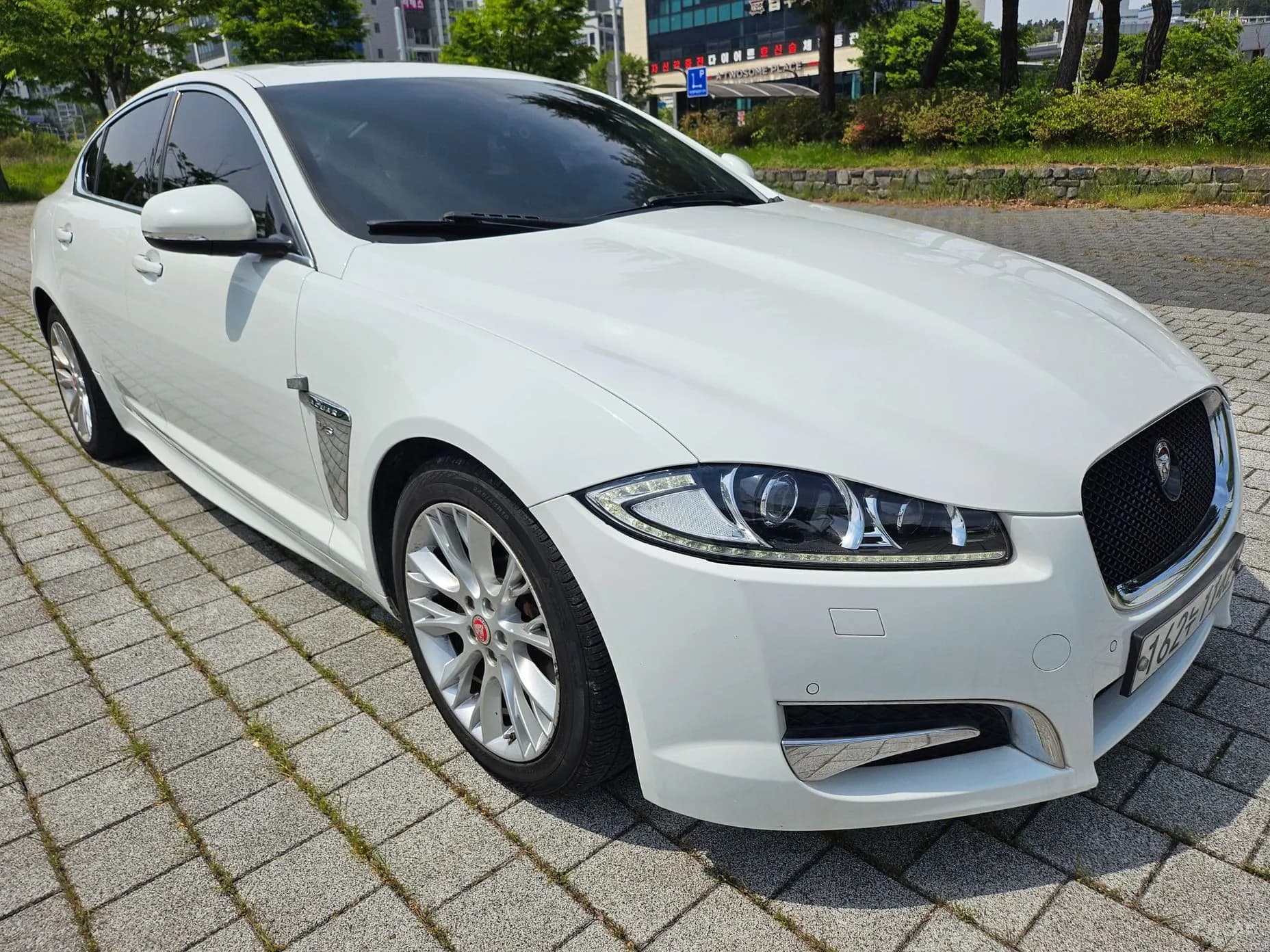 New XF