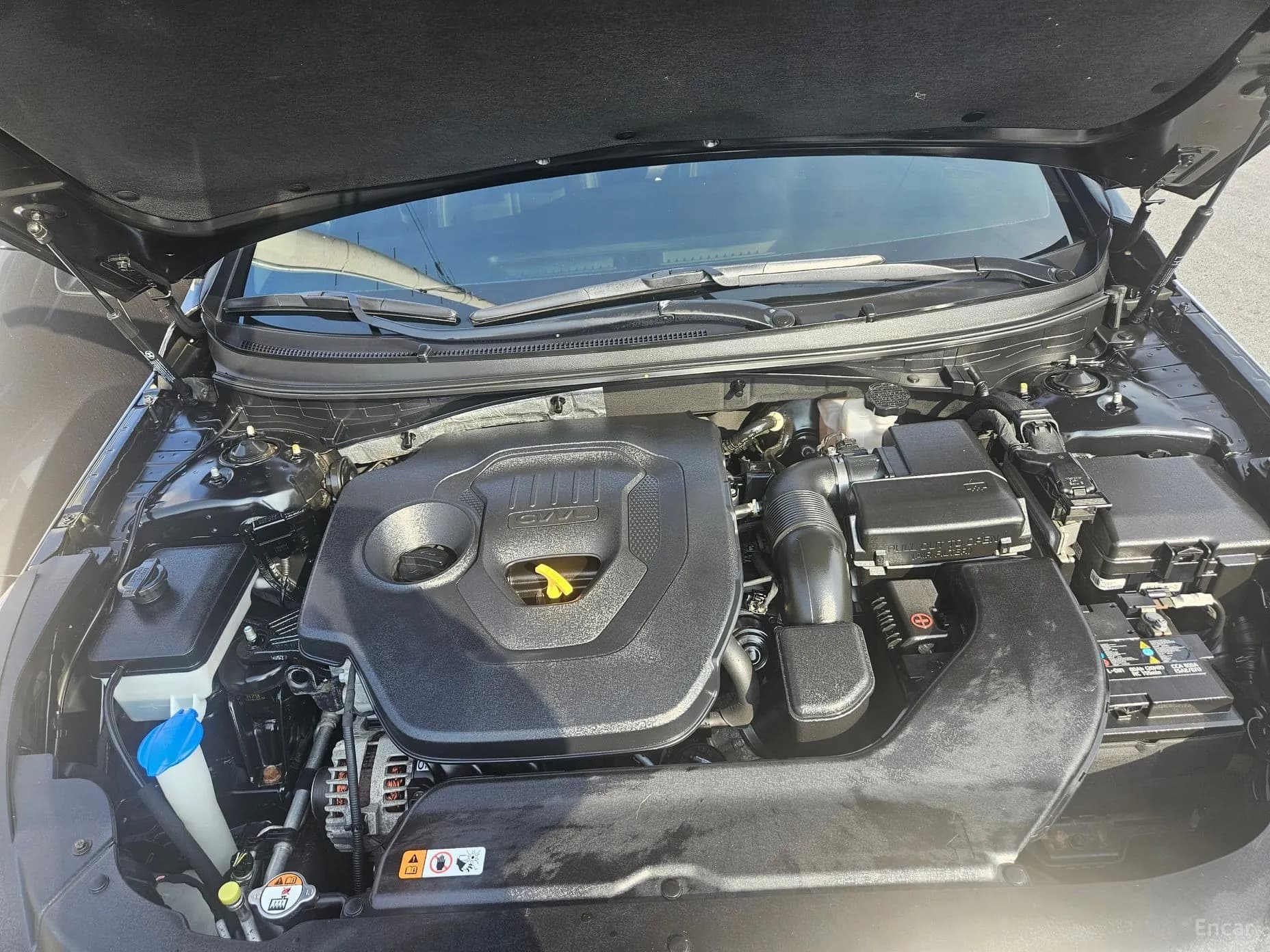 LF Sonata