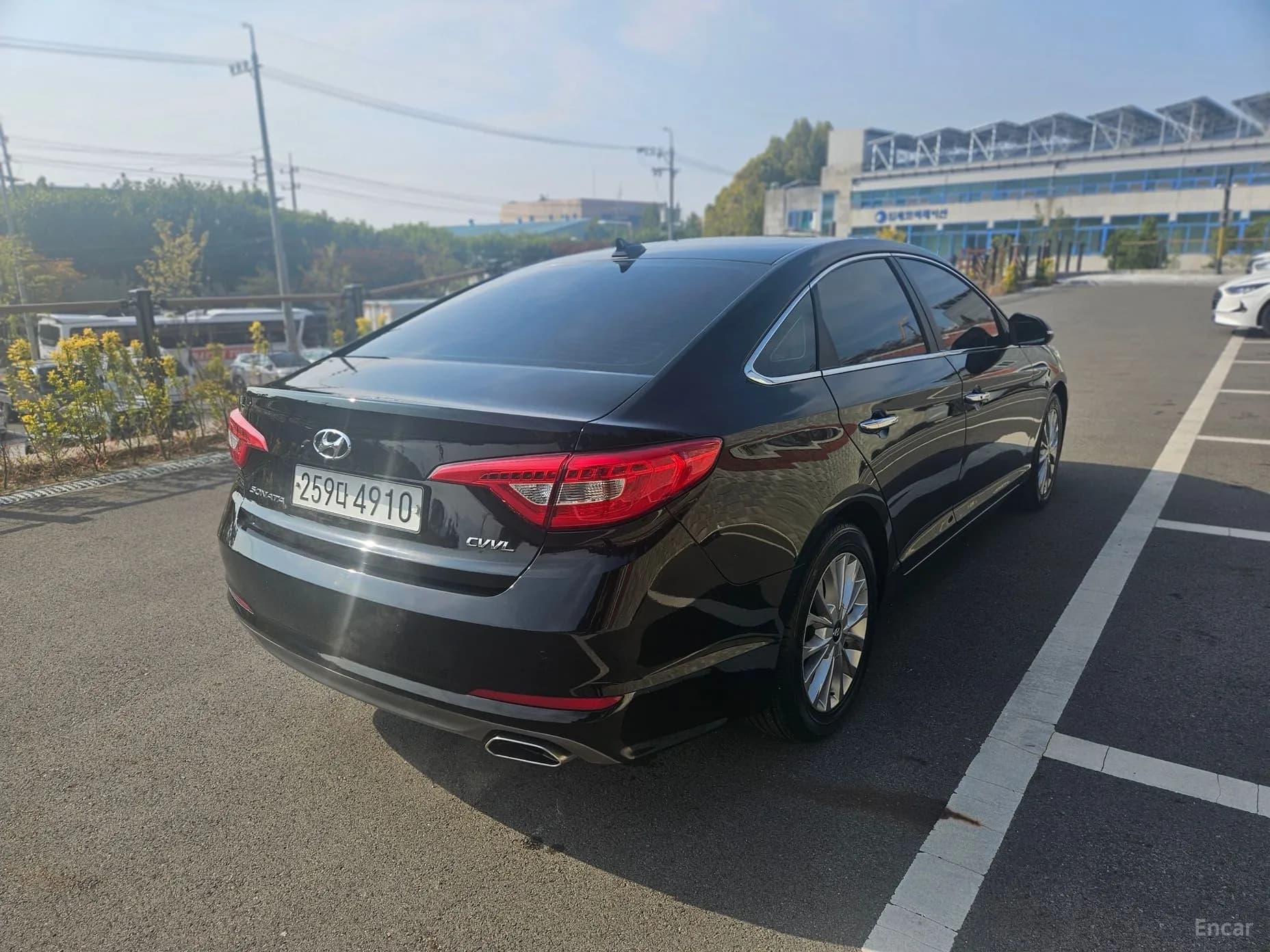 LF Sonata