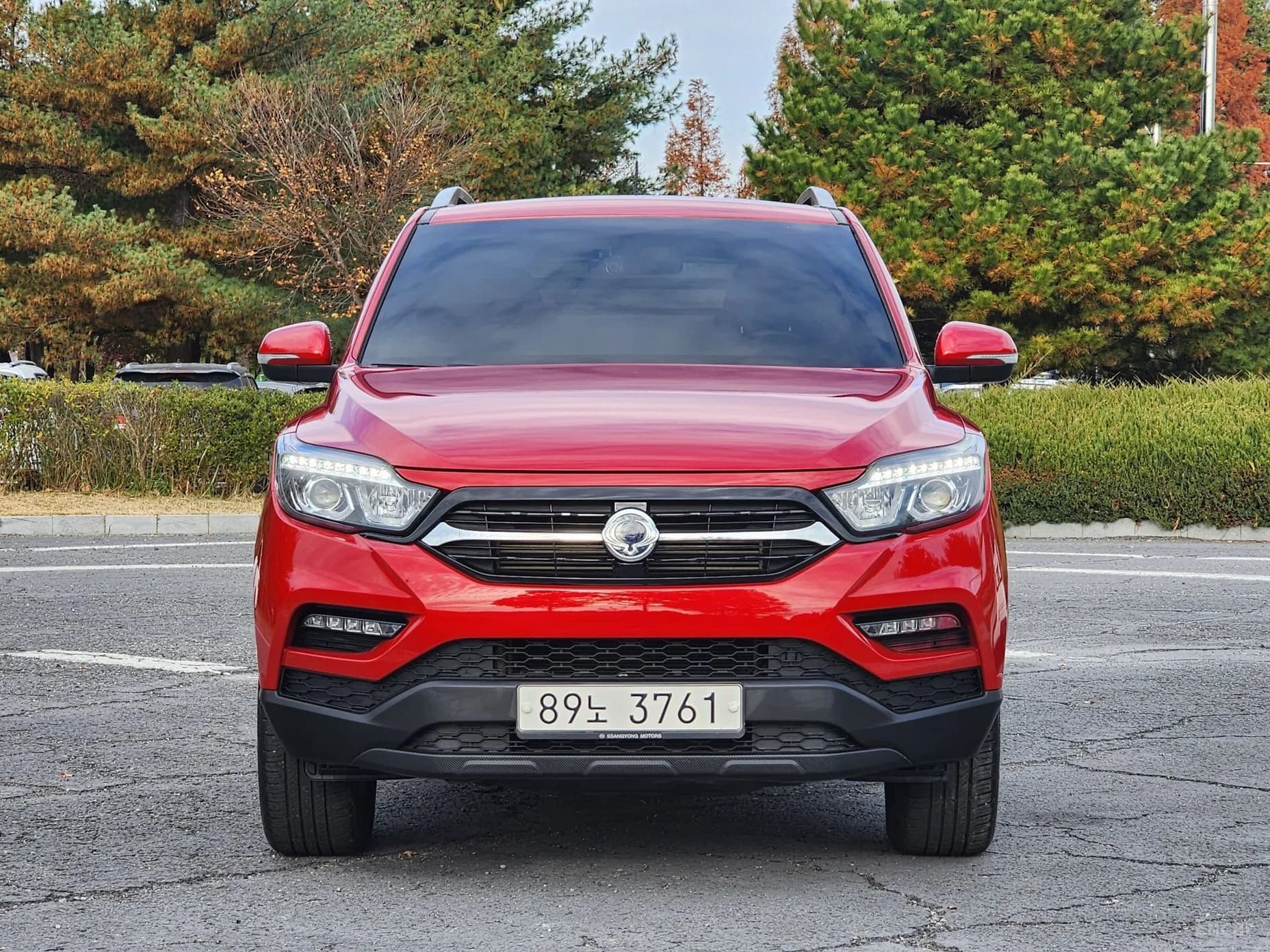 Rexton Sports