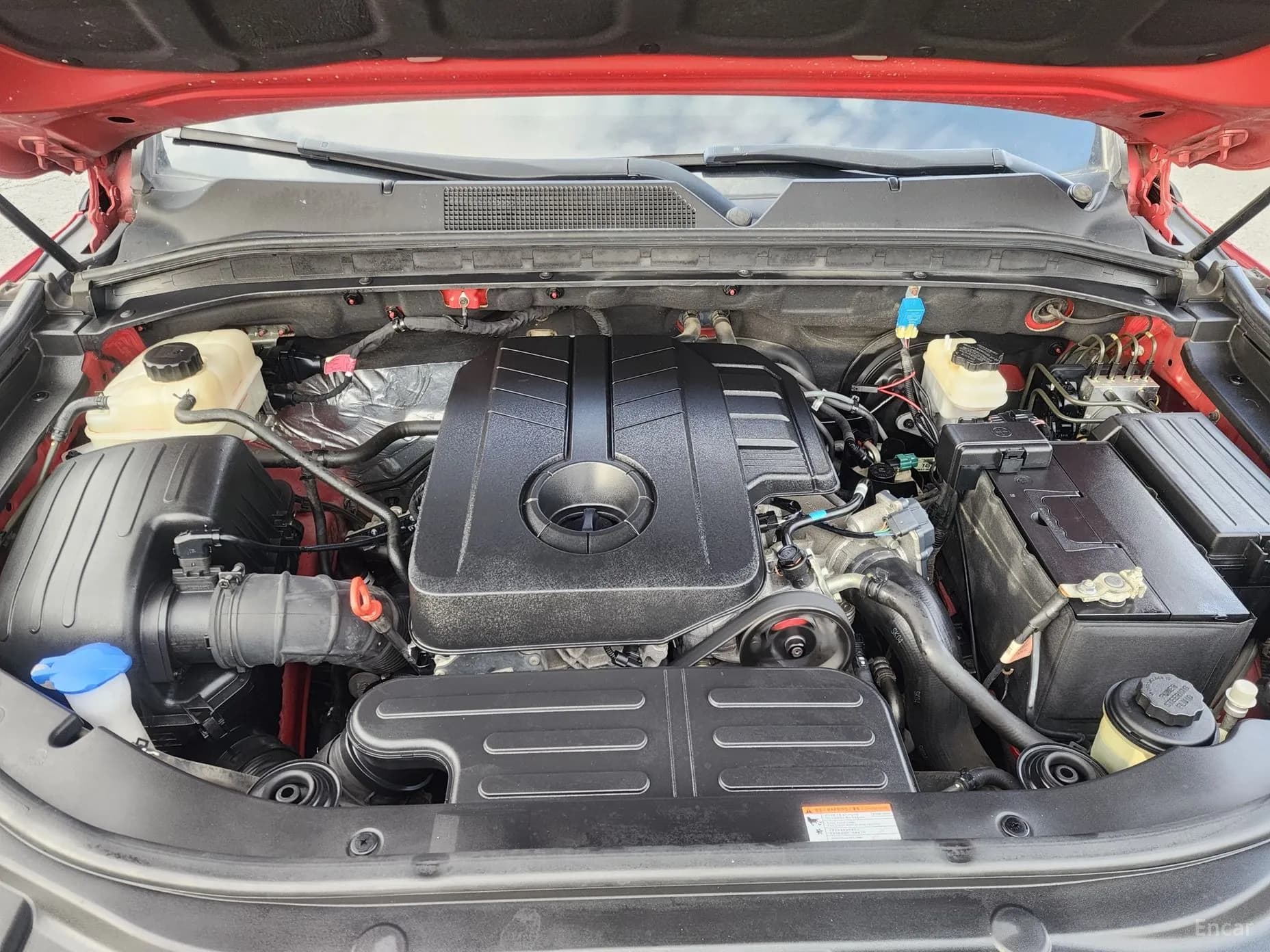Rexton Sports