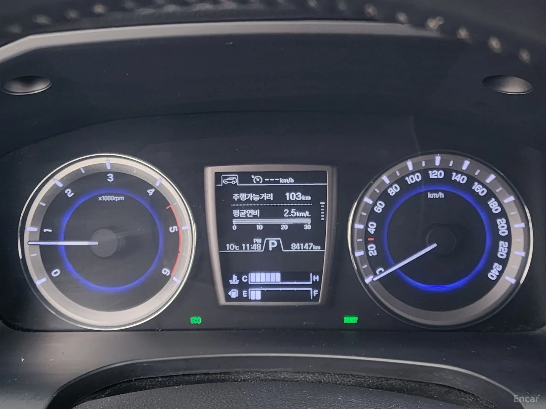 Rexton Sports