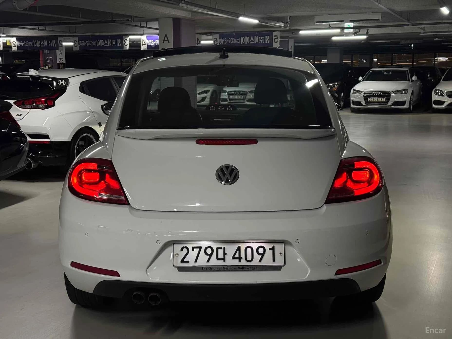 The Beetle