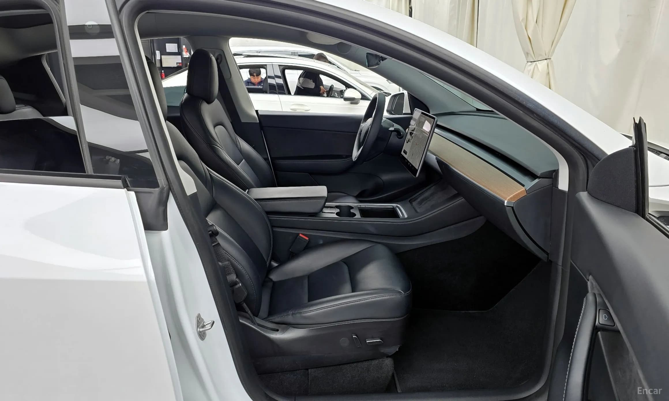 Model Y